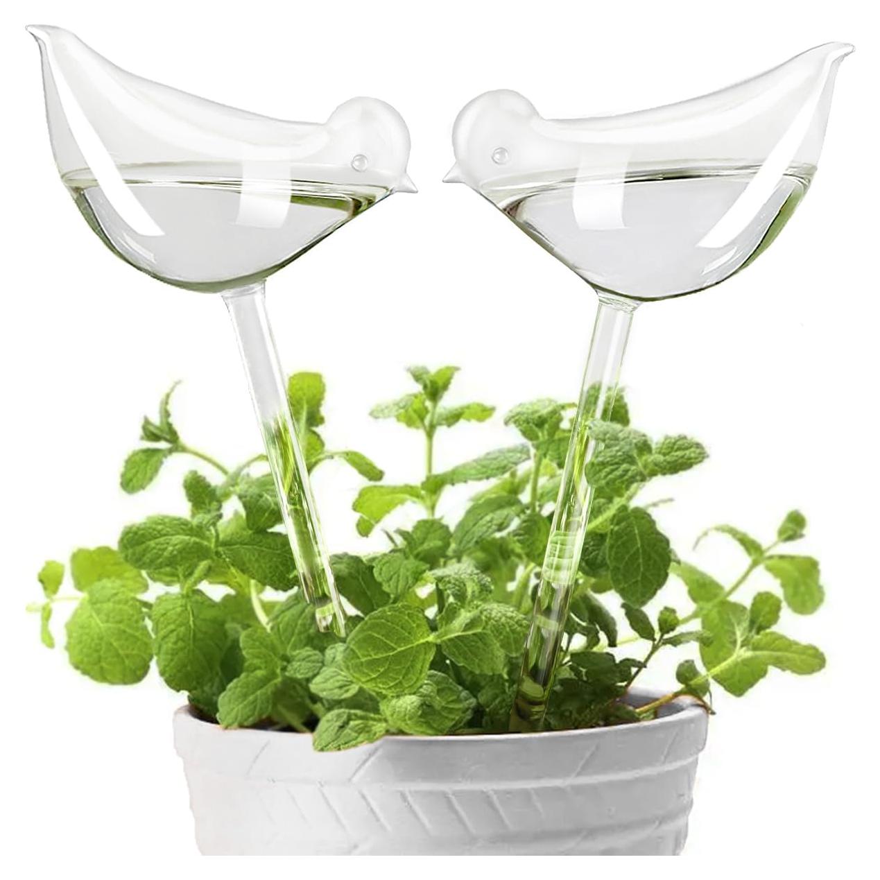 Esferas de Riego KiKiHeim 2 Aves Vidrio para Plantas