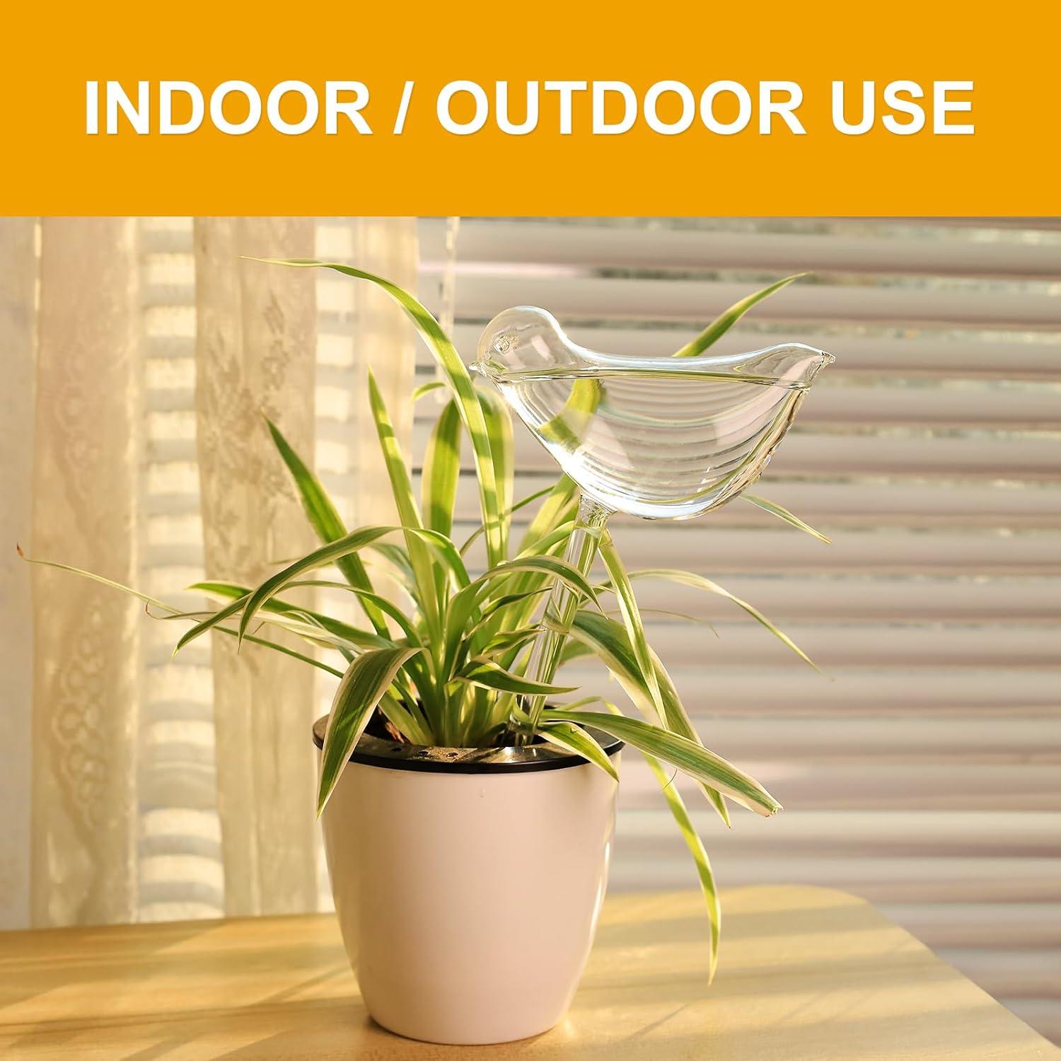 Esferas de Riego KiKiHeim 2 Aves Vidrio para Plantas