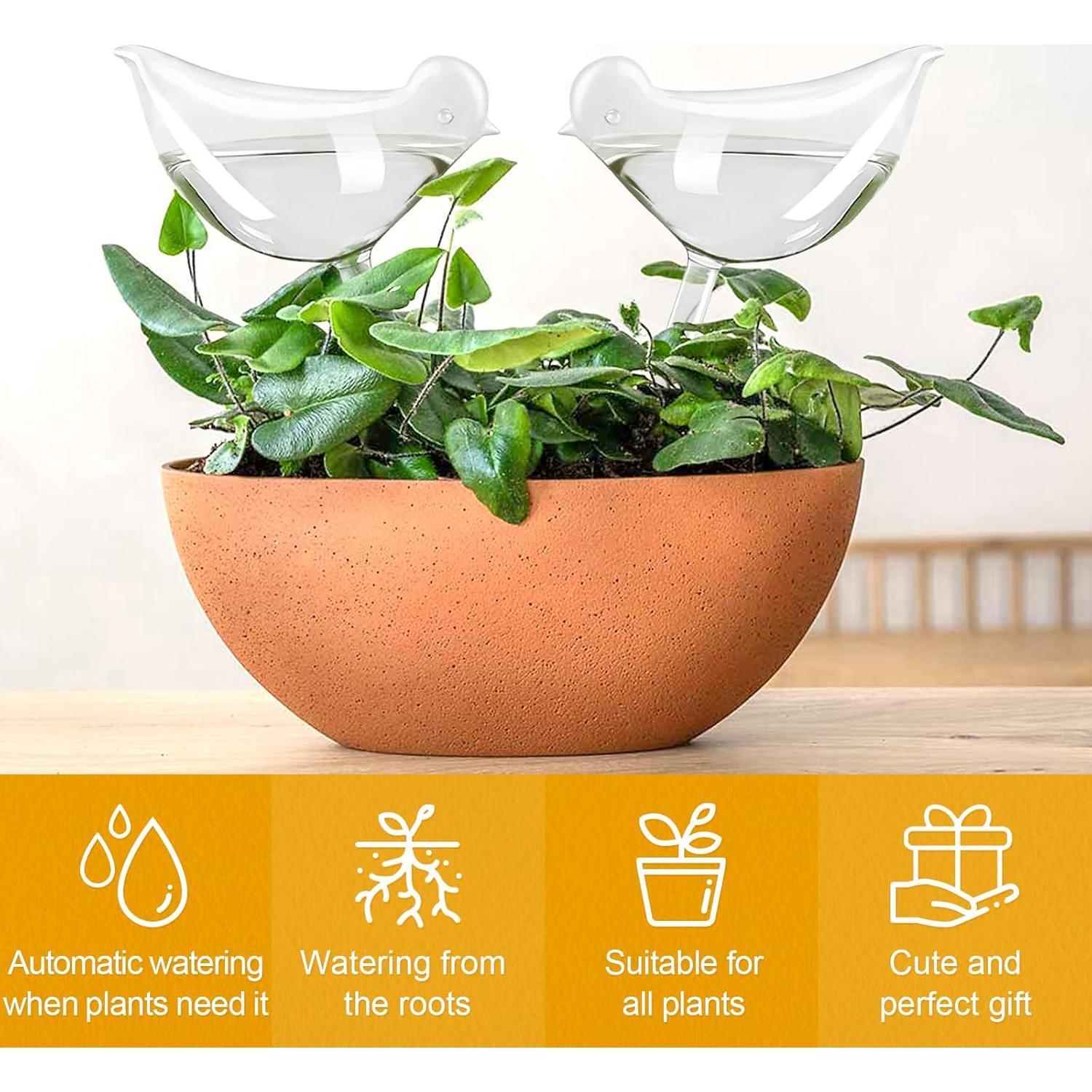 Esferas de Riego KiKiHeim 2 Aves Vidrio para Plantas