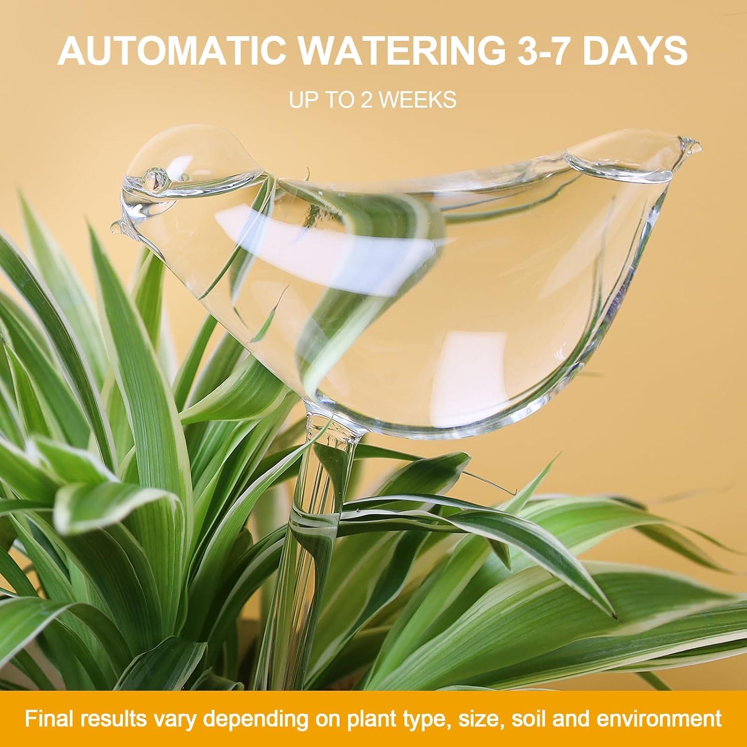 Esferas de Riego KiKiHeim 2 Aves Vidrio para Plantas