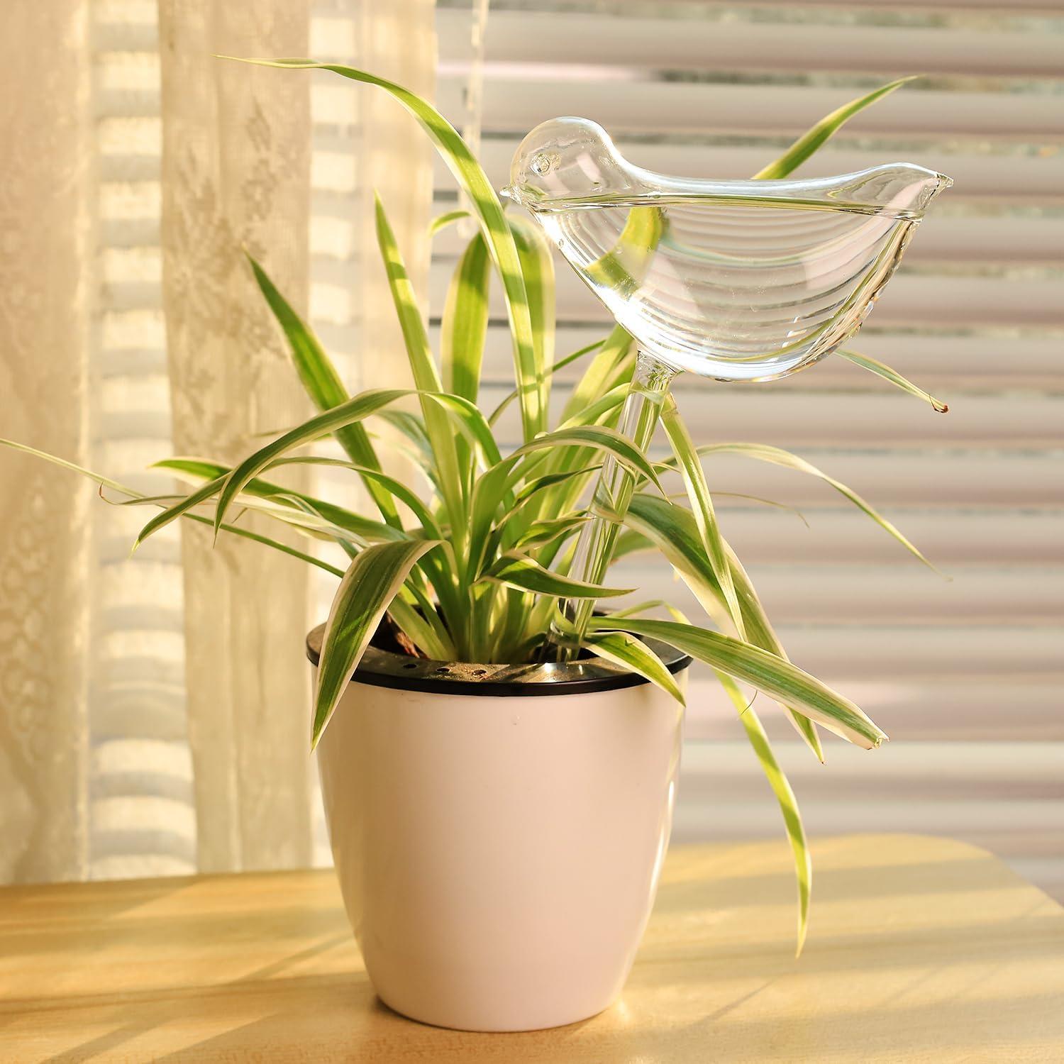 Esferas de Riego KiKiHeim 2 Aves Vidrio para Plantas