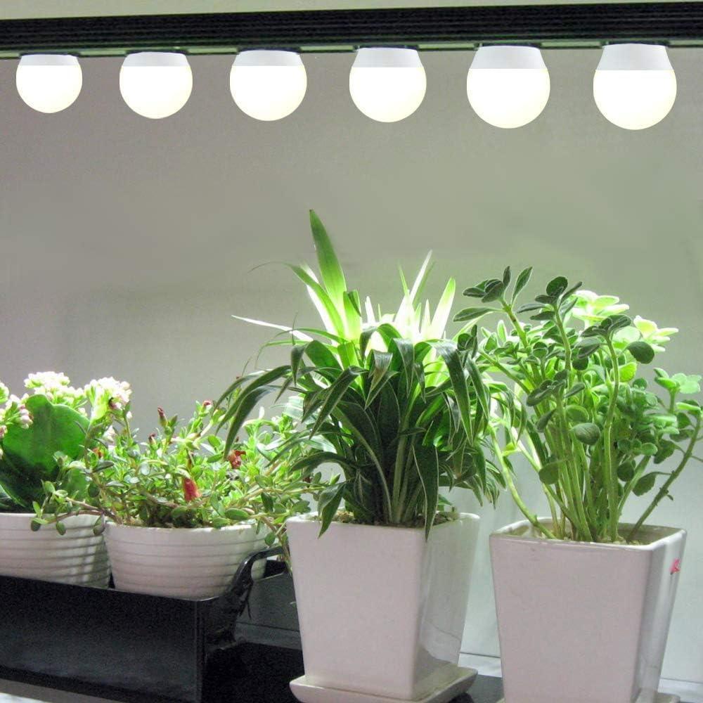 Paquete de 3 bombillas LED Wiyifada A19 9W Espectro Completo