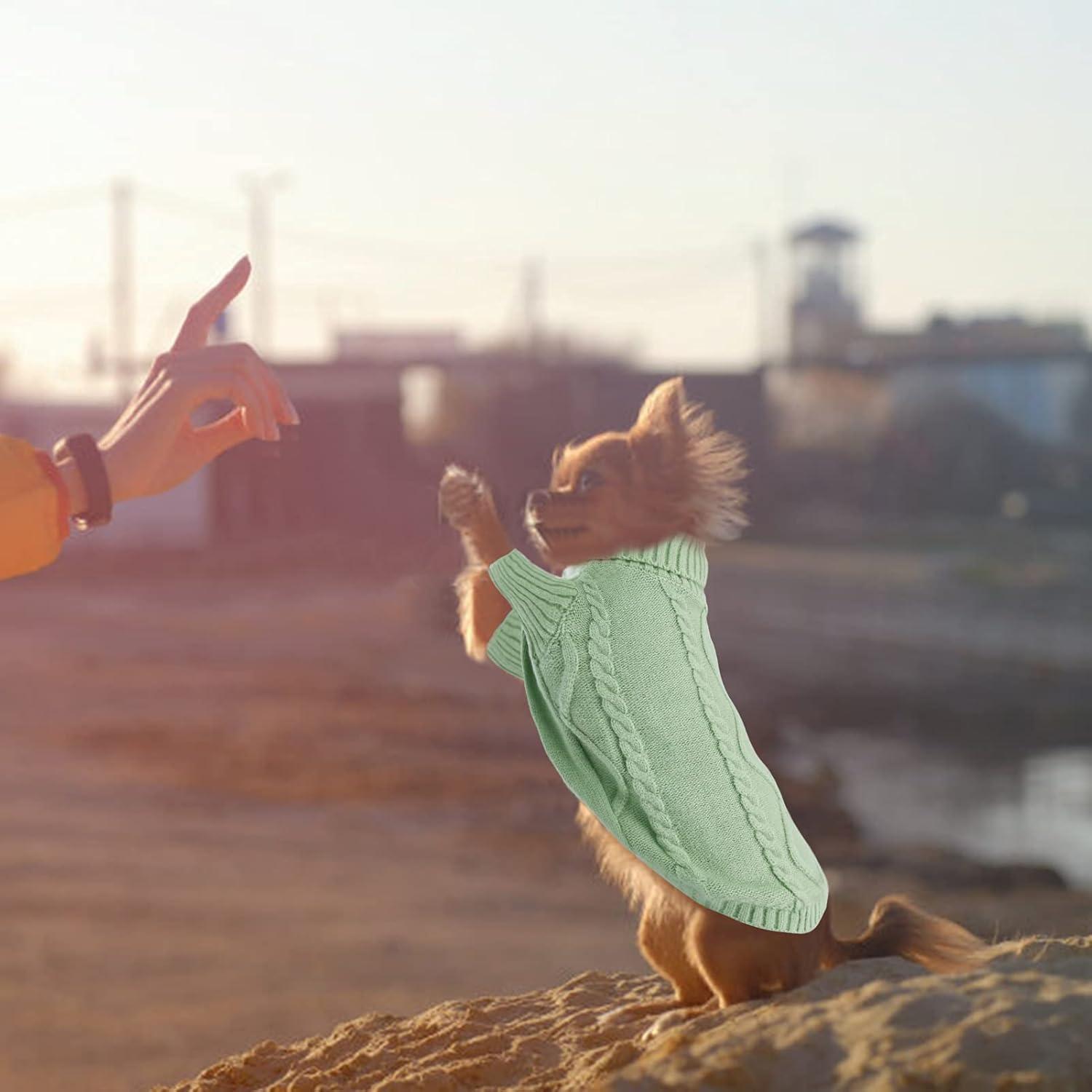 Suéter para Perros Pequeños Queenmore Verde Cálido