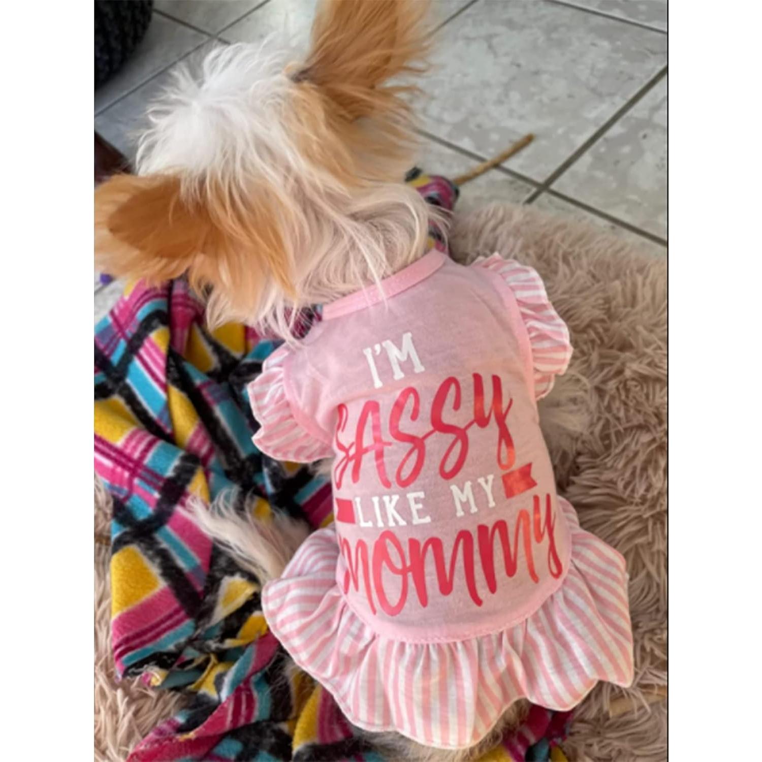 Vestido para Perro XPUDAC 4 Piezas Ángel Rosa Pequeño