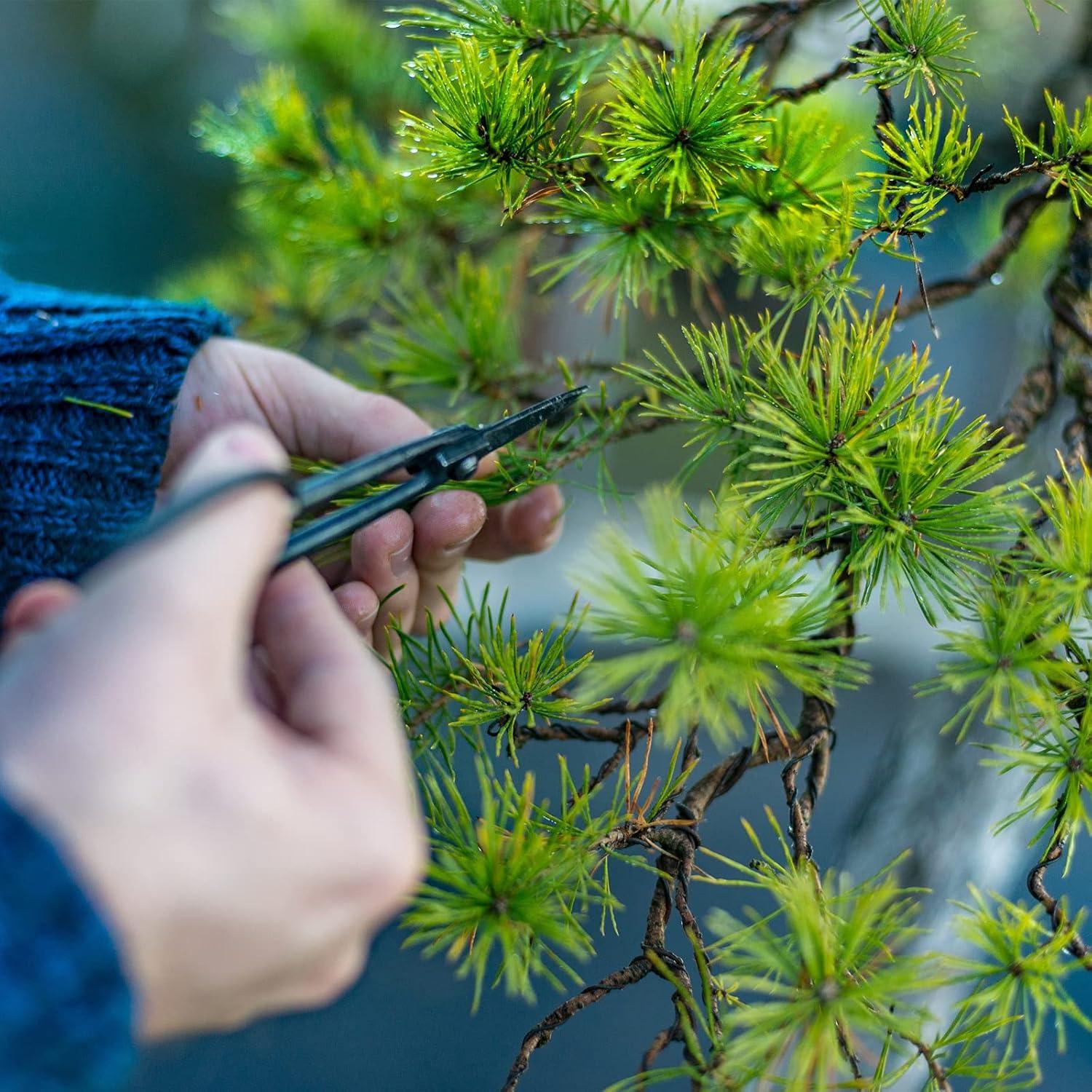 PATIKIL Alambre de Bonsai 2.5mm x 10m Negro Anodizado