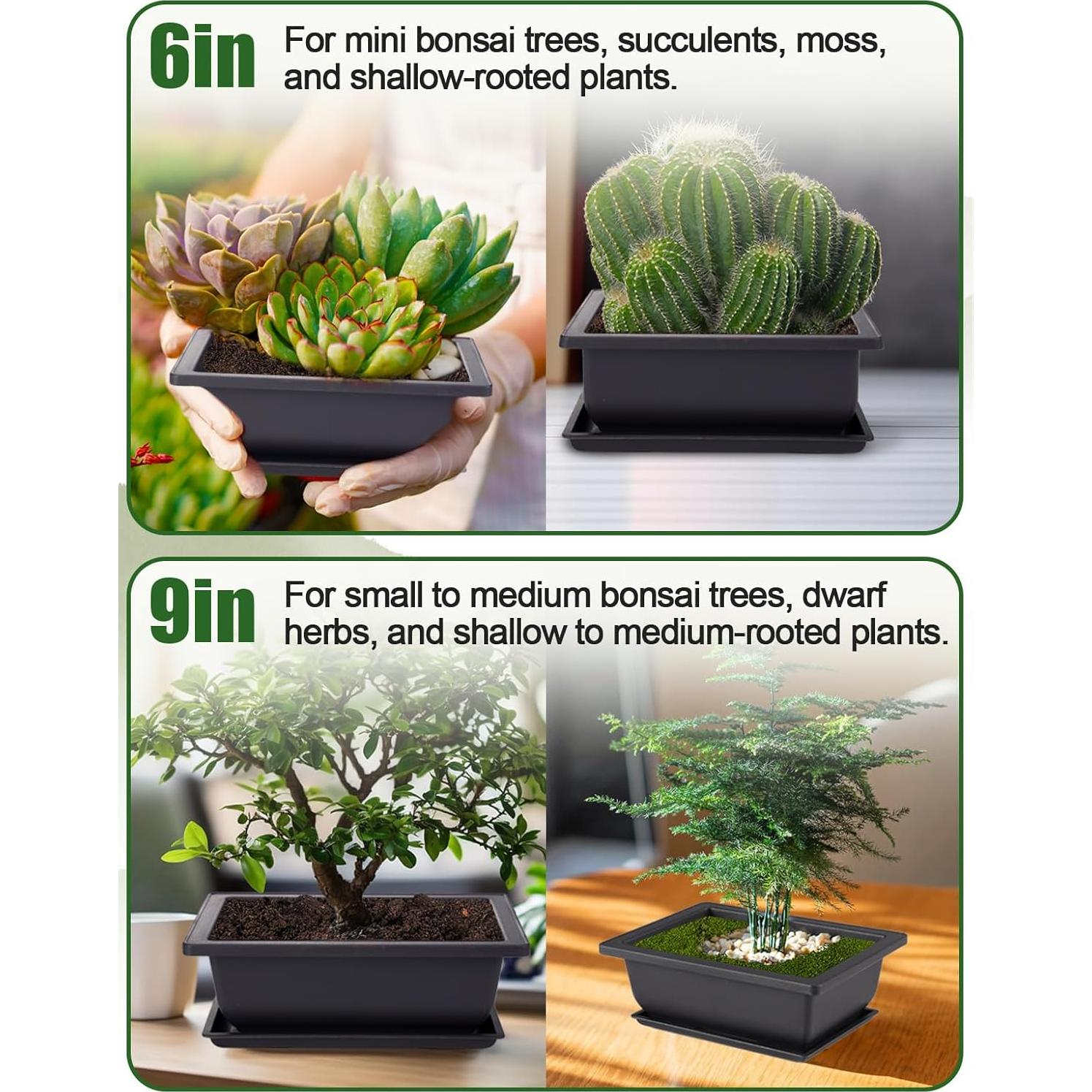 8 Macetas de Entrenamiento Bonsai PAMASE con Bandeja Drenaje