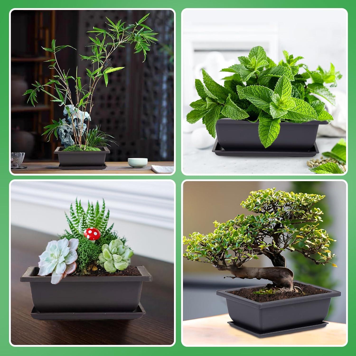 8 Macetas de Entrenamiento Bonsai PAMASE con Bandeja Drenaje