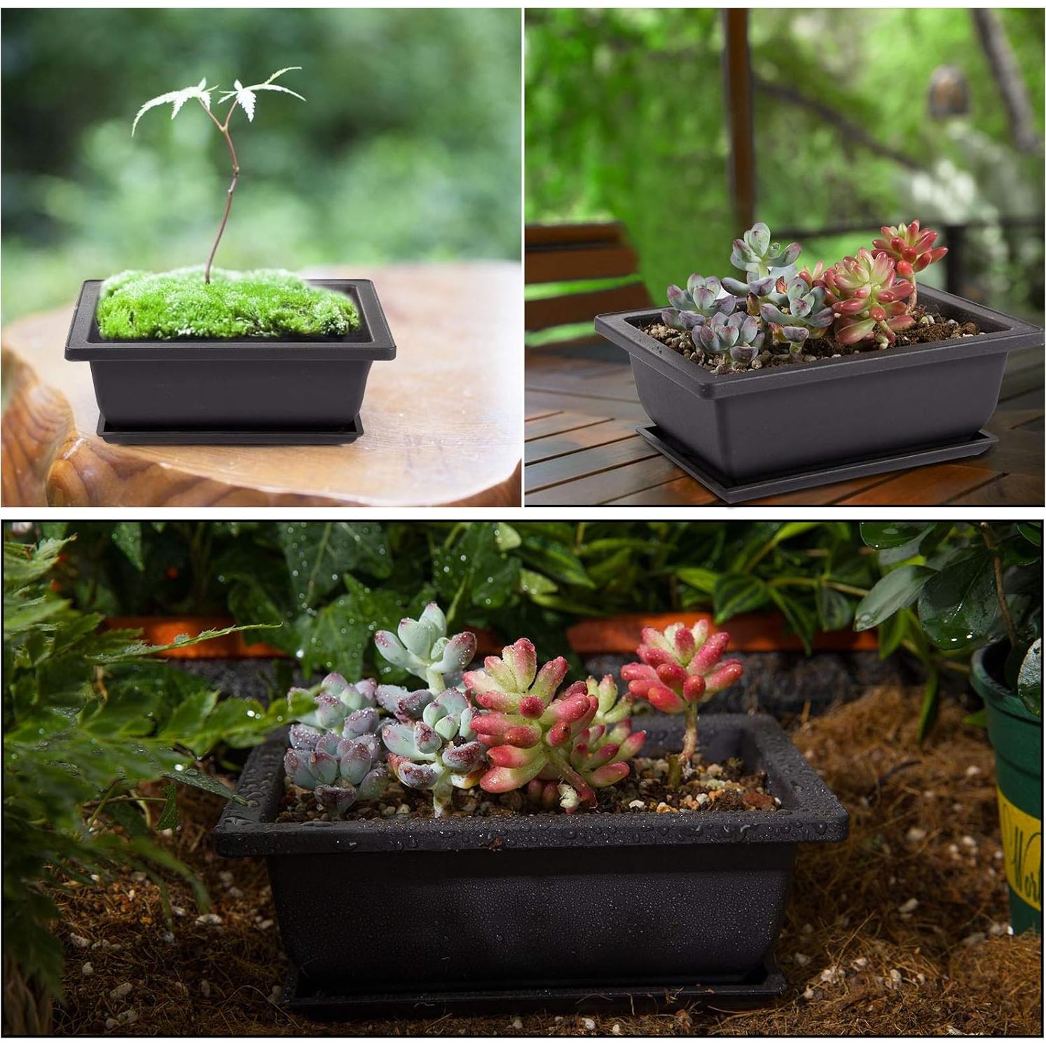 8 Macetas de Entrenamiento Bonsai PAMASE con Bandeja Drenaje