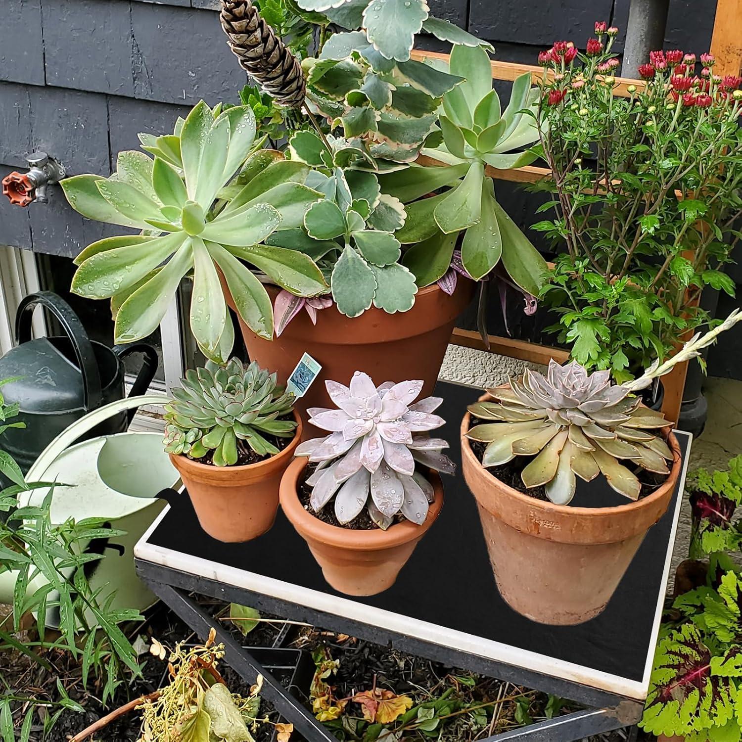 2Pack Alfombra Riego Automático ECcandiedhaws 120x100cm