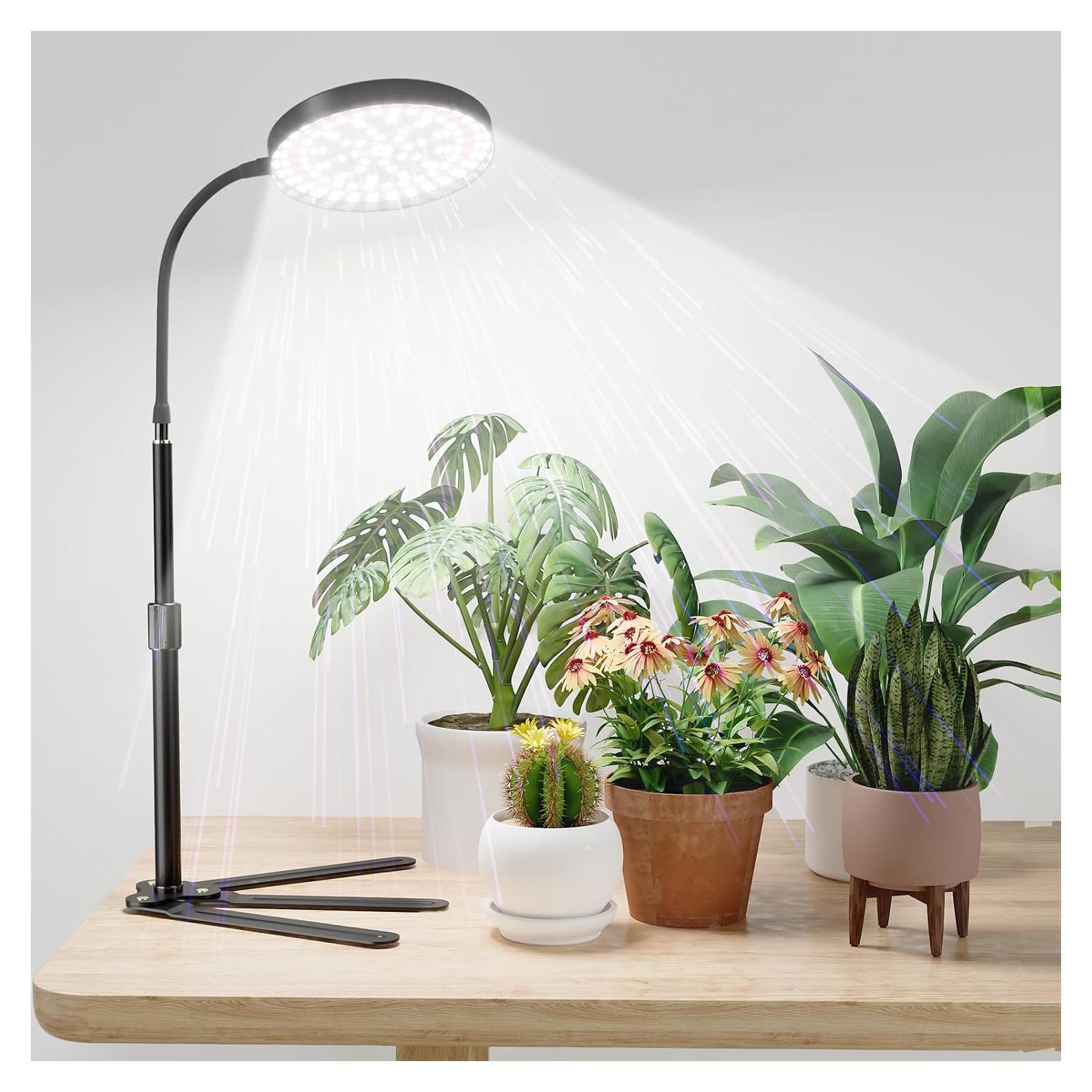 Luz de Crecimiento GooingTop 100W Espectro Completo 6000K