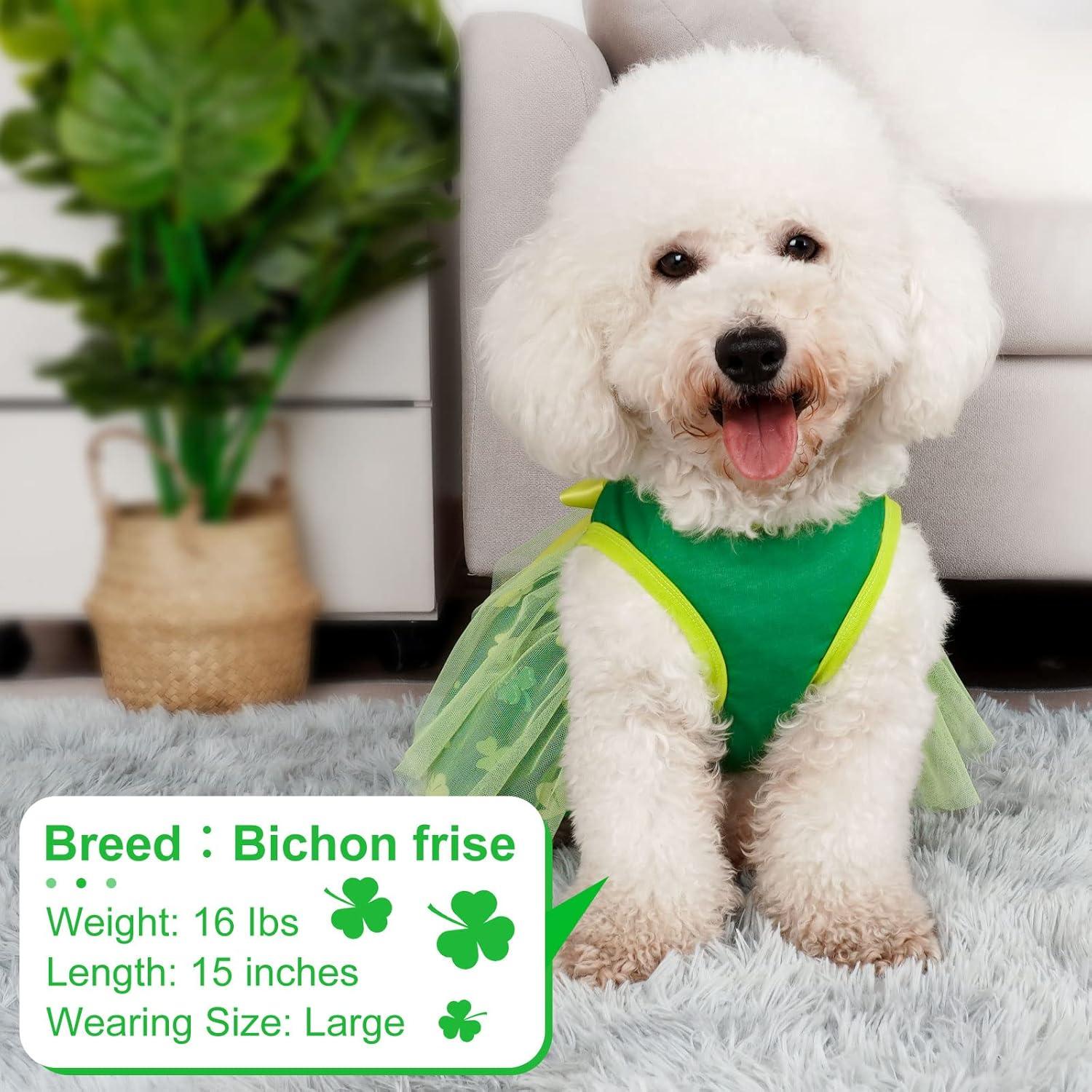 Vestido de Perro Cyeollo San Patricio Tul Verde M