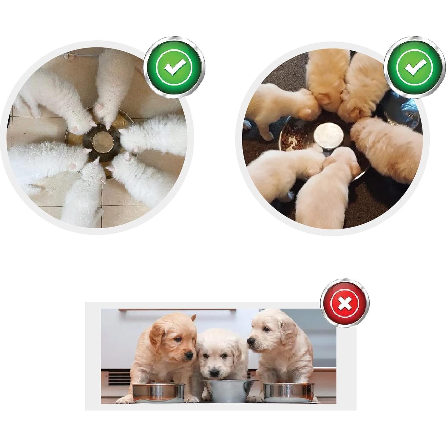 Cuenco para Cachorros Sheldamy Acero Inoxidable 25.9 cm