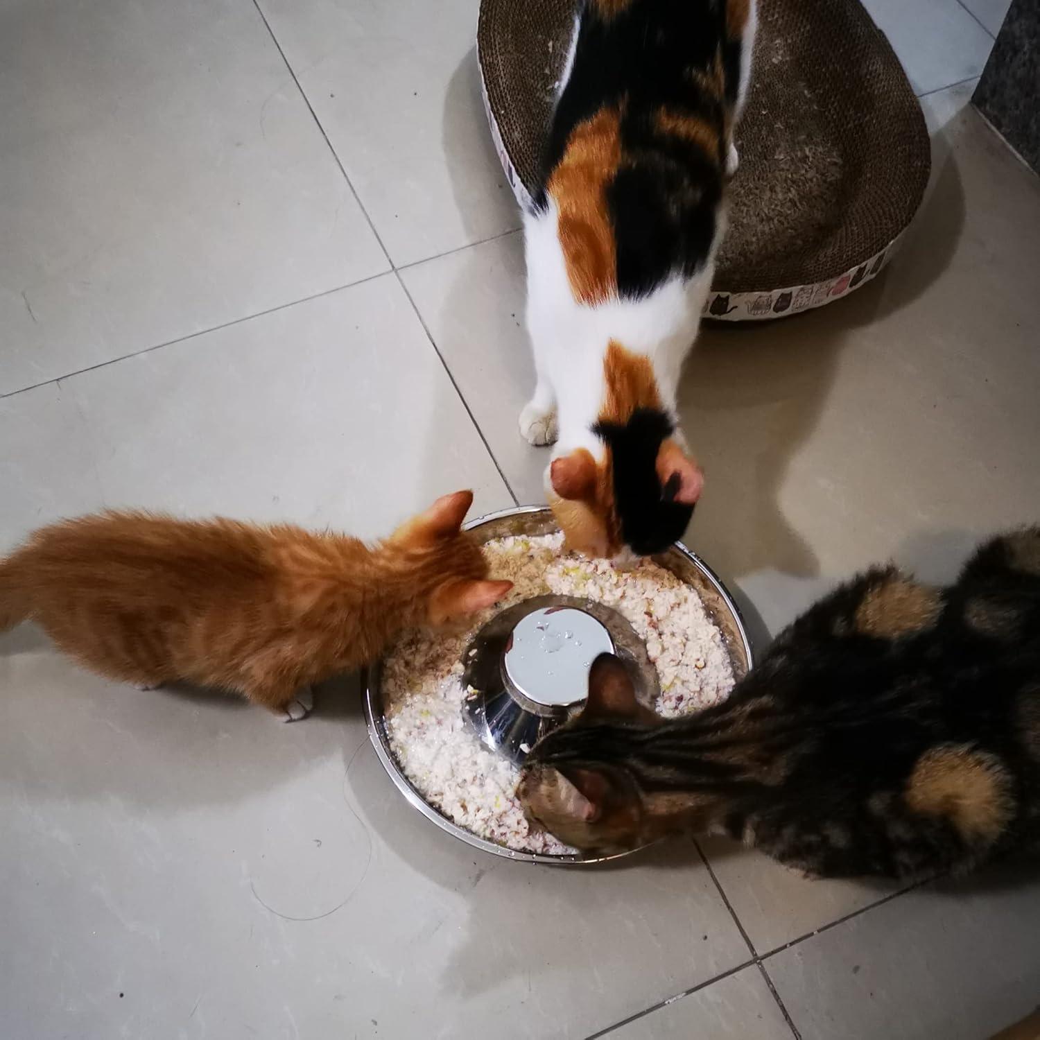 Cuenco para Cachorros Sheldamy Acero Inoxidable 25.9 cm