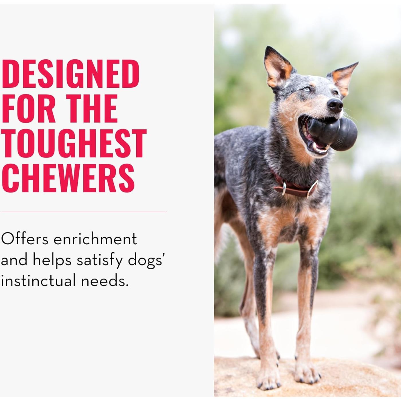 KONG Extreme Juguete para Perros Grande - Caucho Duradero