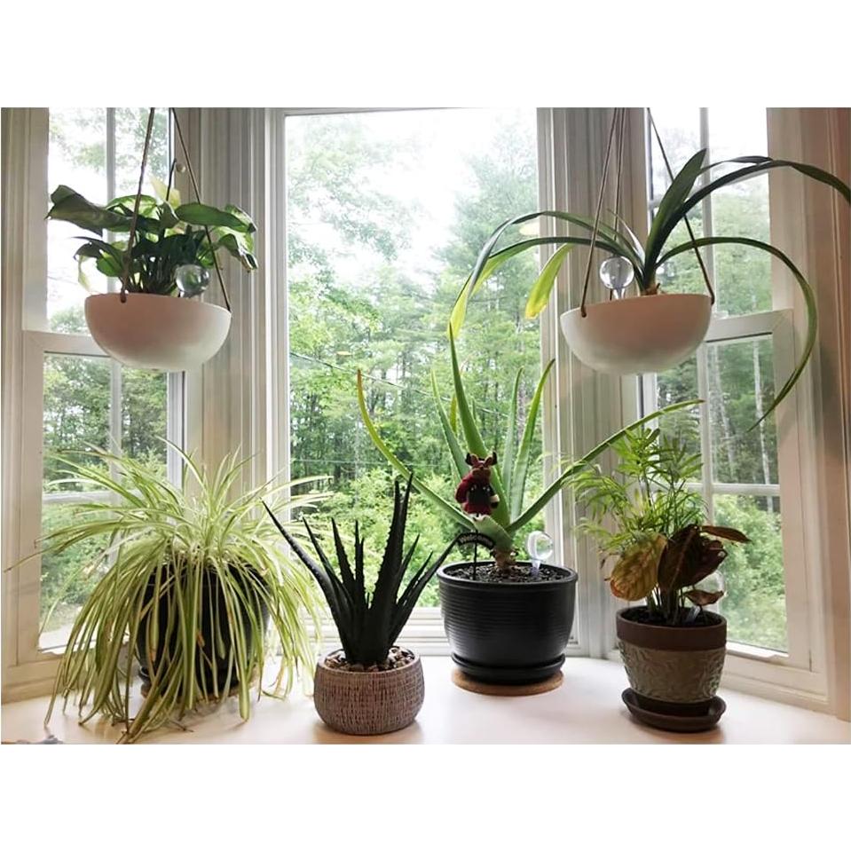 Paquete de 10 Bombillas de Riego Automático Irrmshr 26.5x8 cm