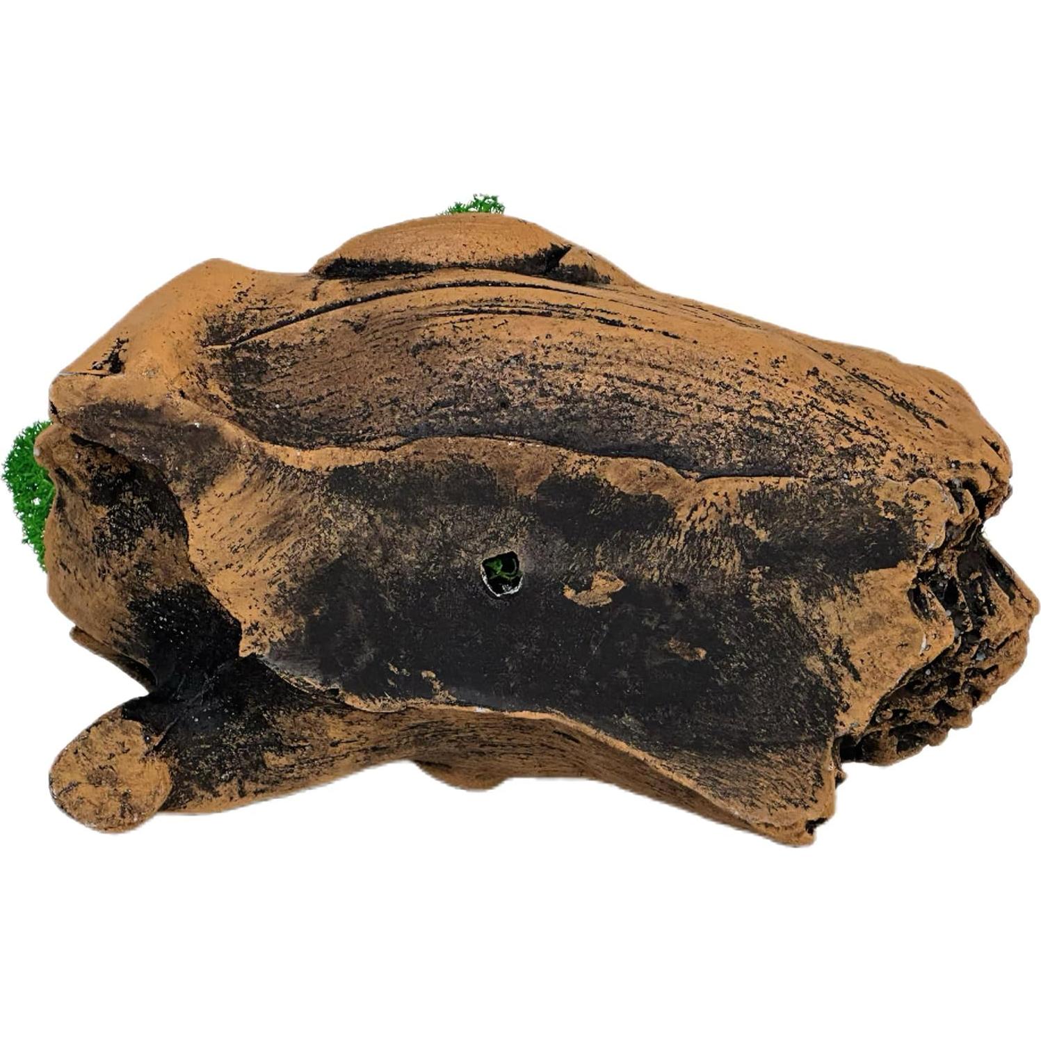 Bonsái de Musgo Fiseises 16 cm Decoración Interior