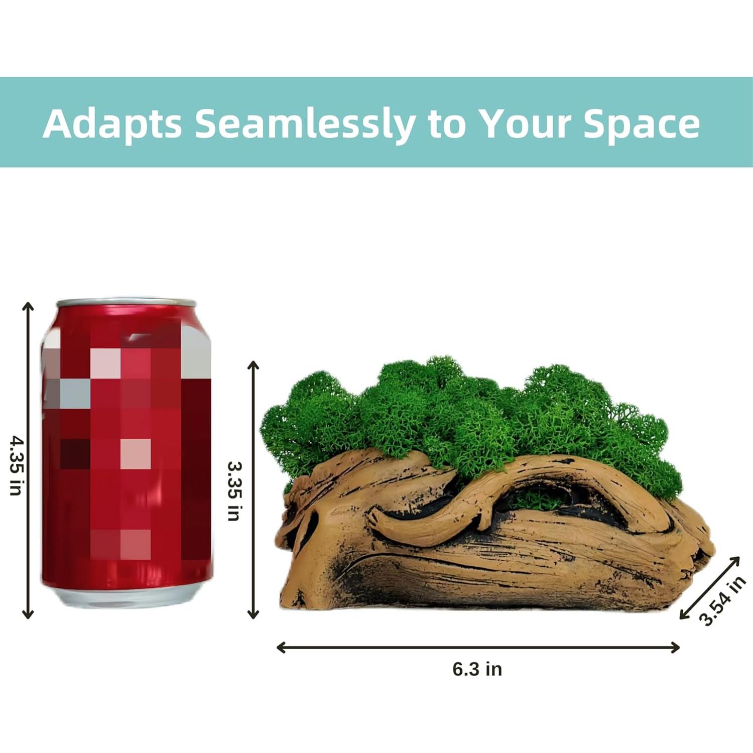 Bonsái de Musgo Fiseises 16 cm Decoración Interior