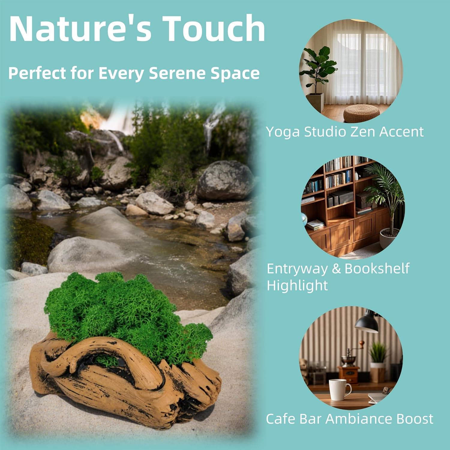 Bonsái de Musgo Fiseises 16 cm Decoración Interior