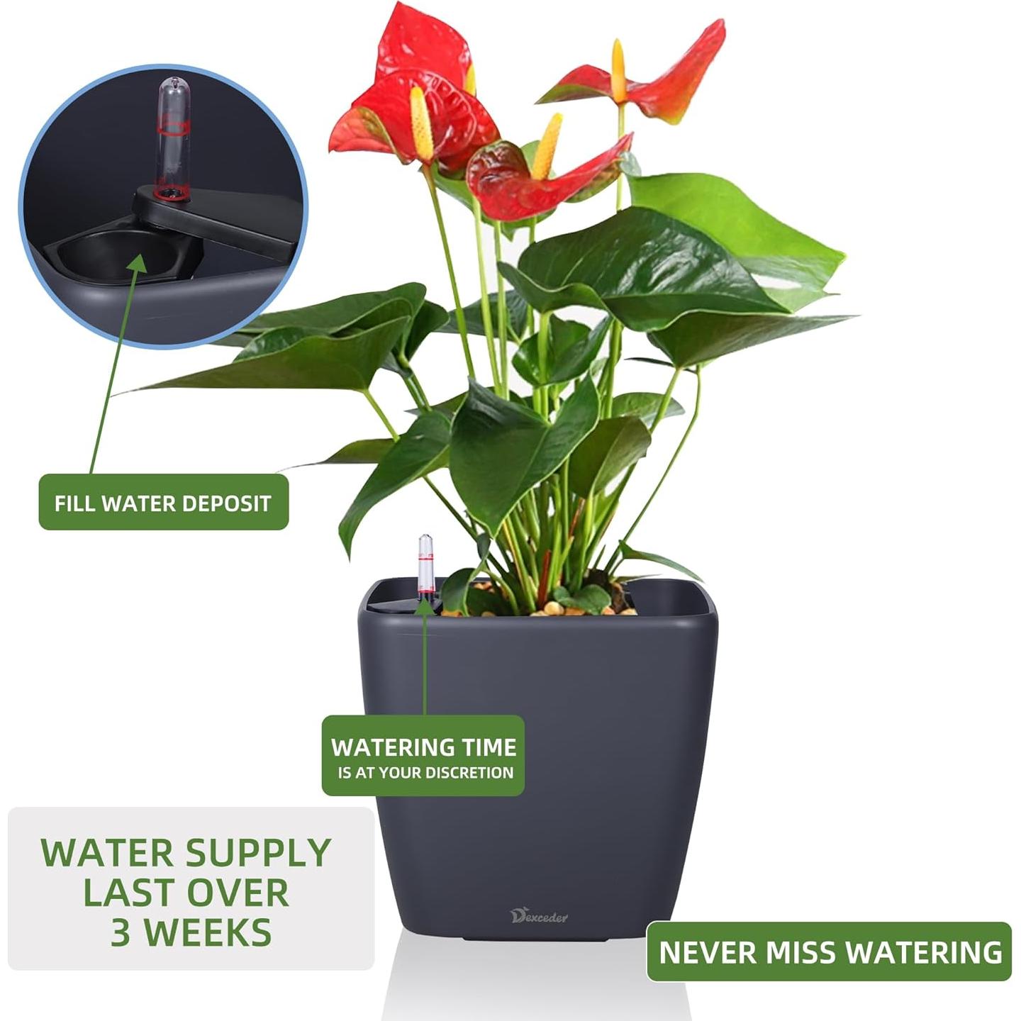 Maceta Autorriego Dexceder 22cm Gris Pizarra con Indicador