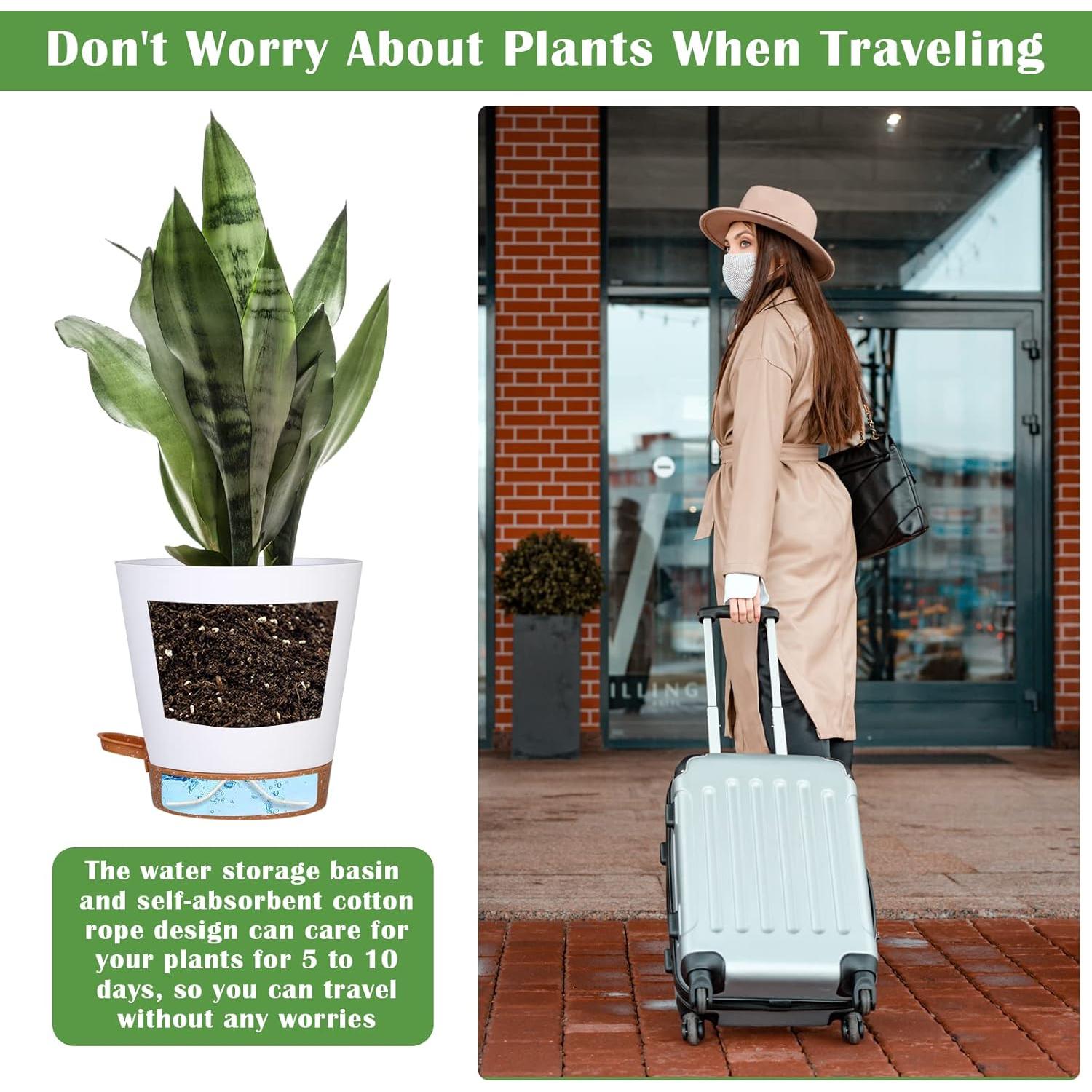 Paquete de 5 Macetas Autorriego Mckanti 15 cm Blancas