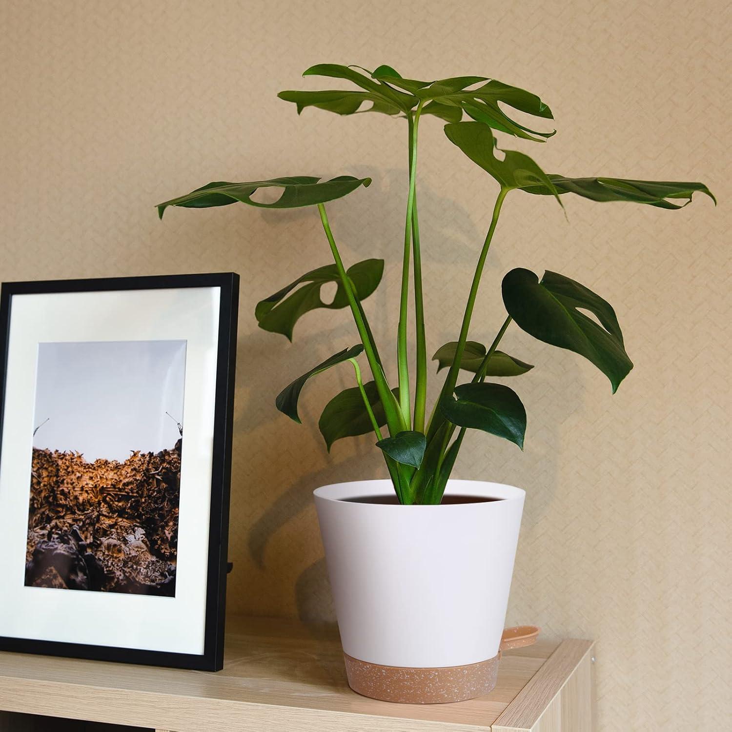 Paquete de 5 Macetas Autorriego Mckanti 15 cm Blancas