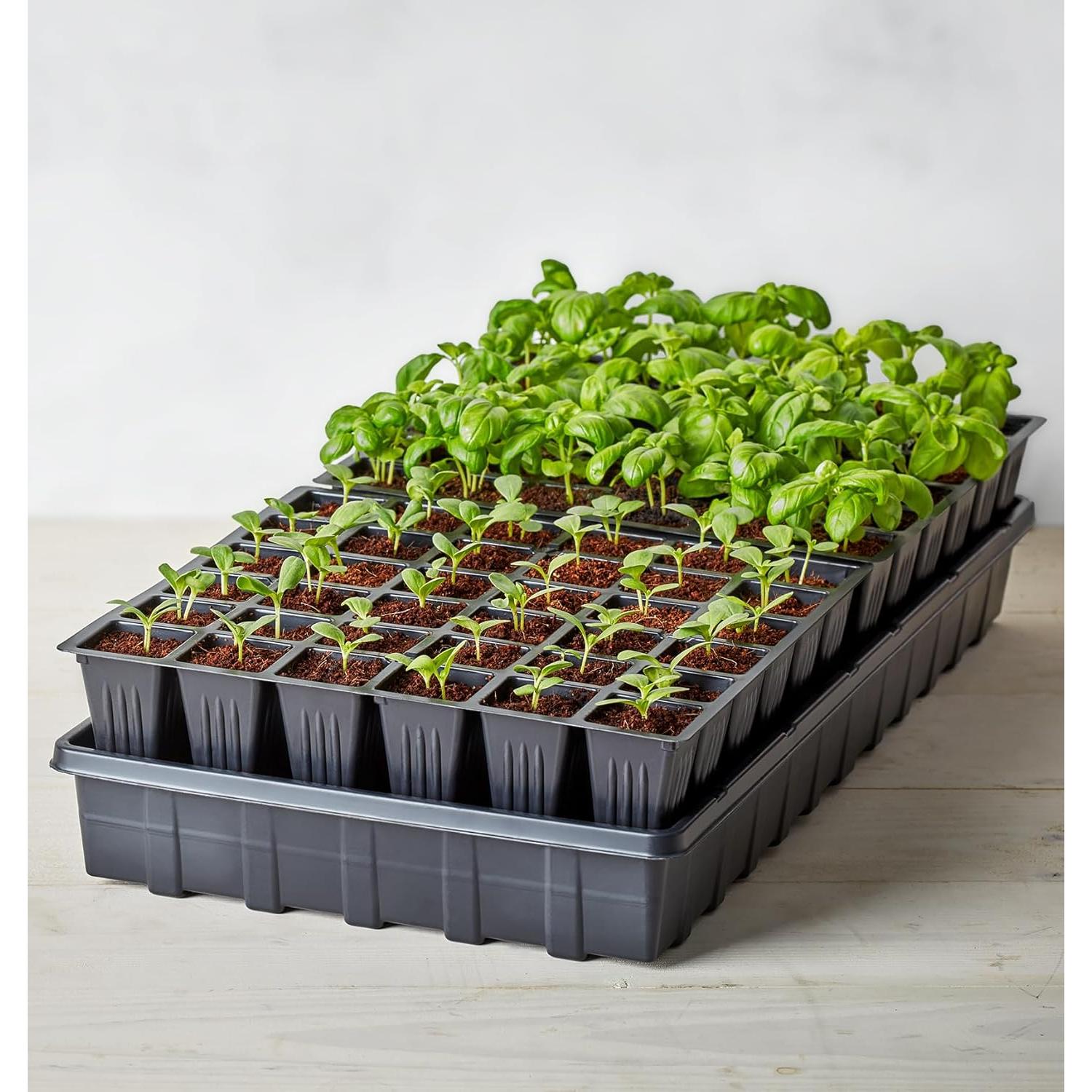 Bandeja de Inicio de Semillas Autorriego Burpee 72 Celdas