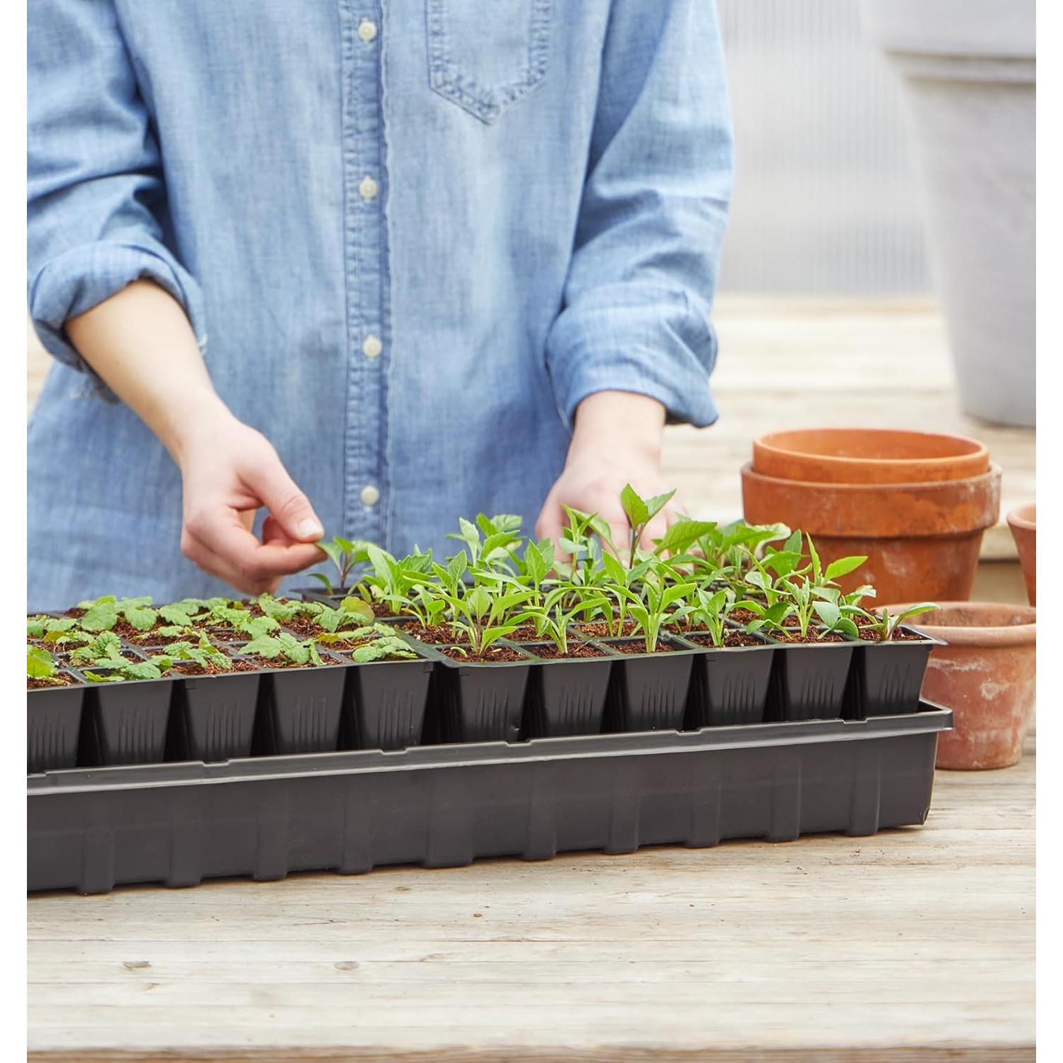 Bandeja de Inicio de Semillas Autorriego Burpee 72 Celdas