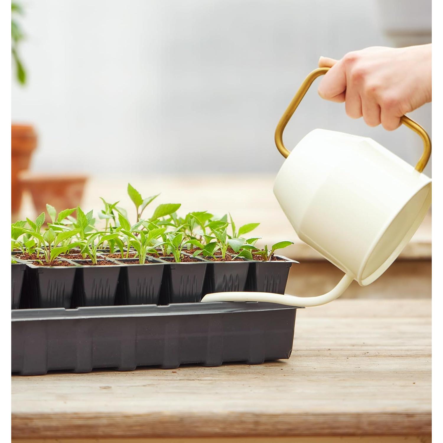 Bandeja de Inicio de Semillas Autorriego Burpee 72 Celdas