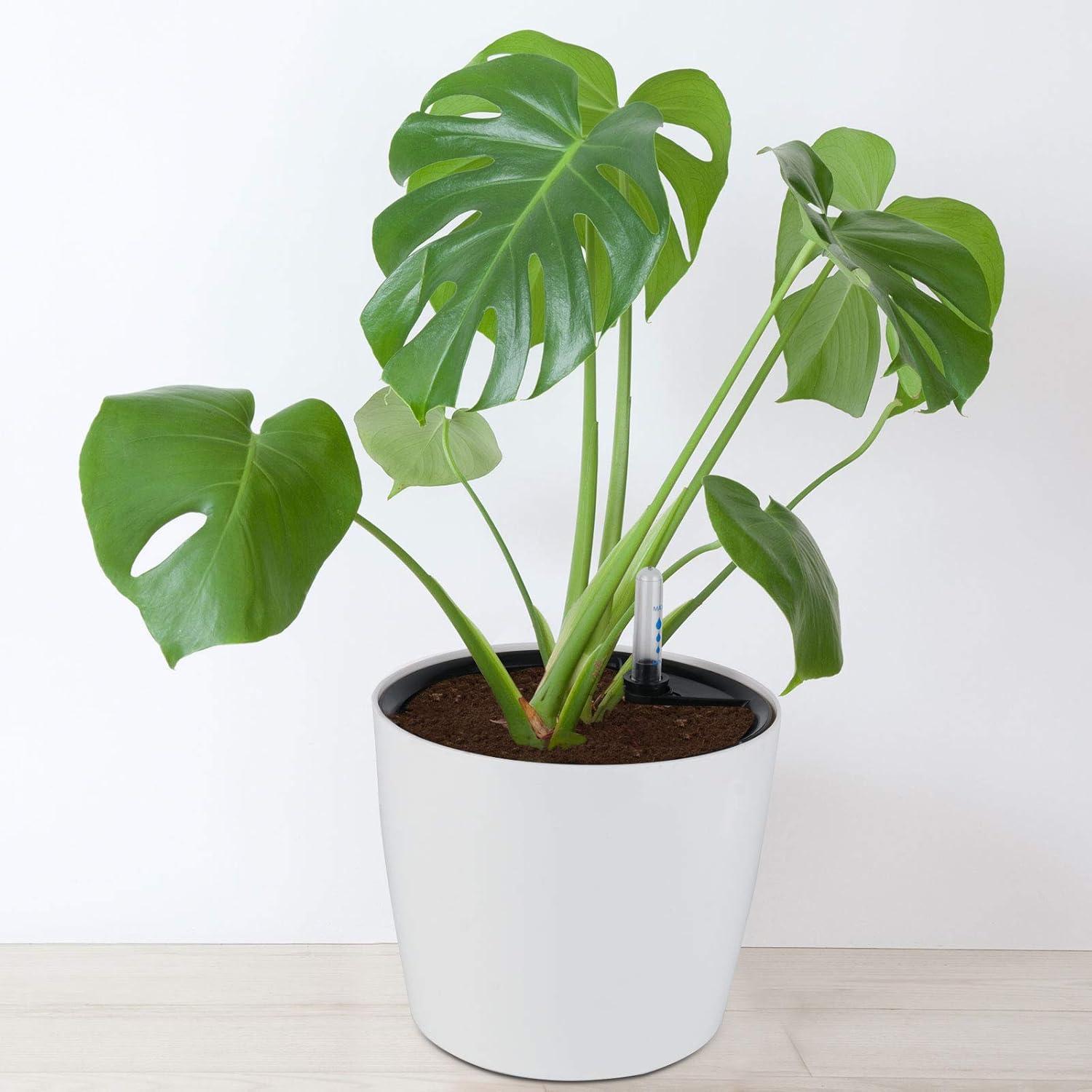 Macetas Autorriego ZOENHOU 4 Piezas 18 cm Blancas