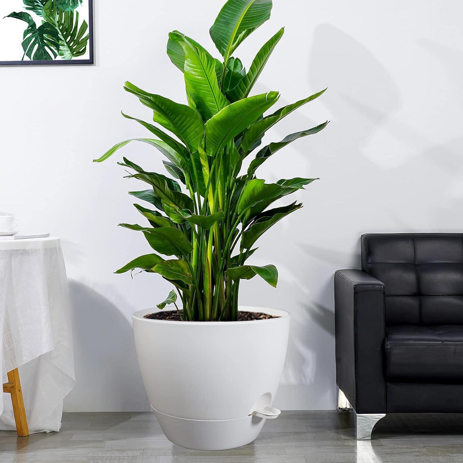 Maceta Autorriego UOUZ 30 cm Blanco con Drenaje y Reservorio