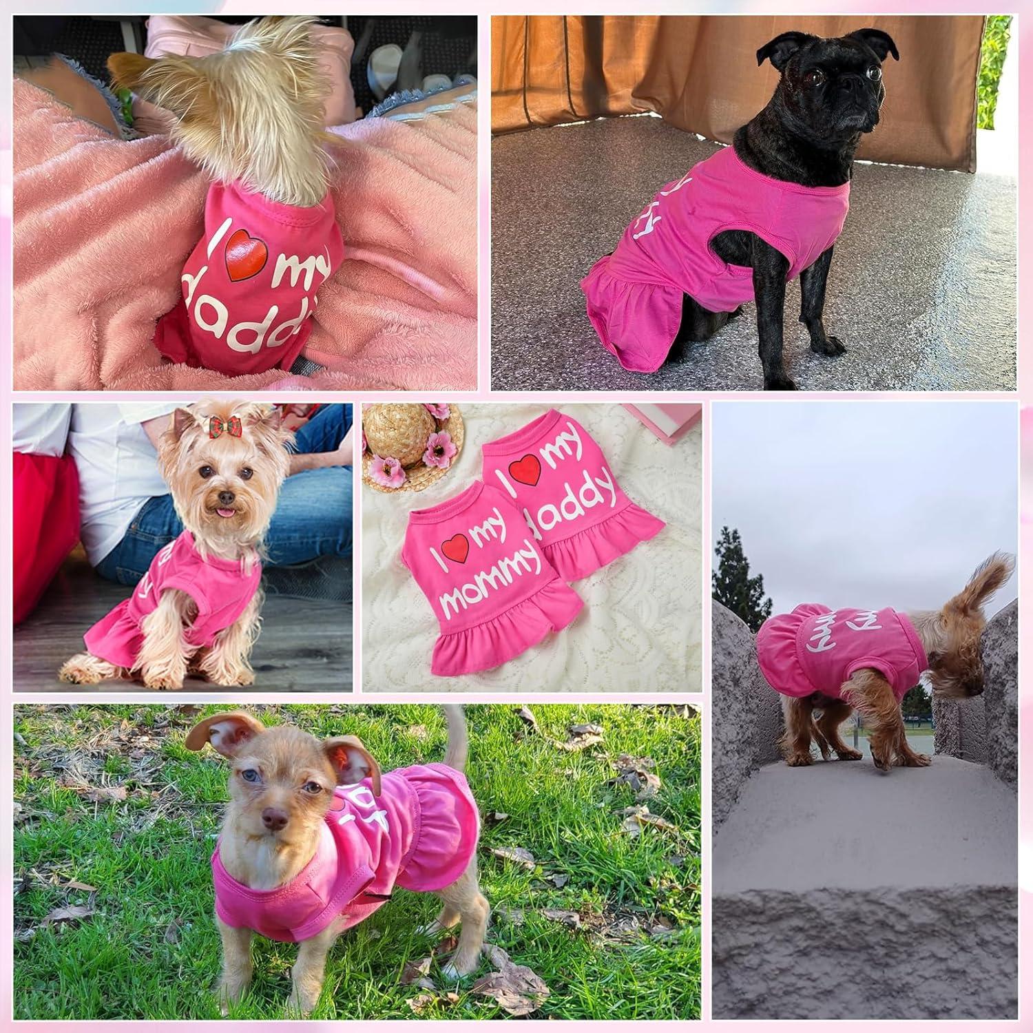 Vestido para Perro Pequeño Dosuyi Rosa Amor Papá 23cm
