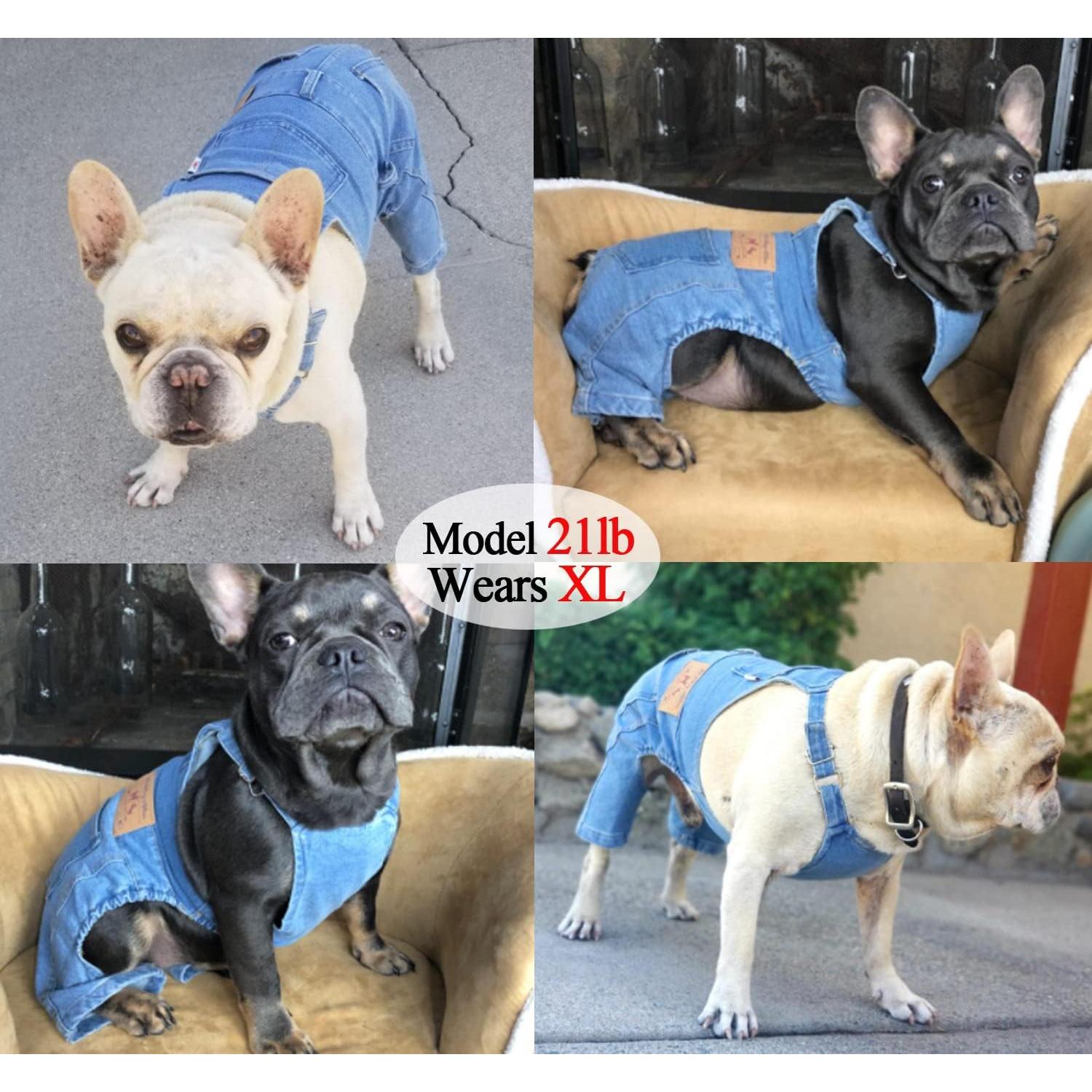 Mono de Mezclilla para Perros Tealots Azul Pequeño