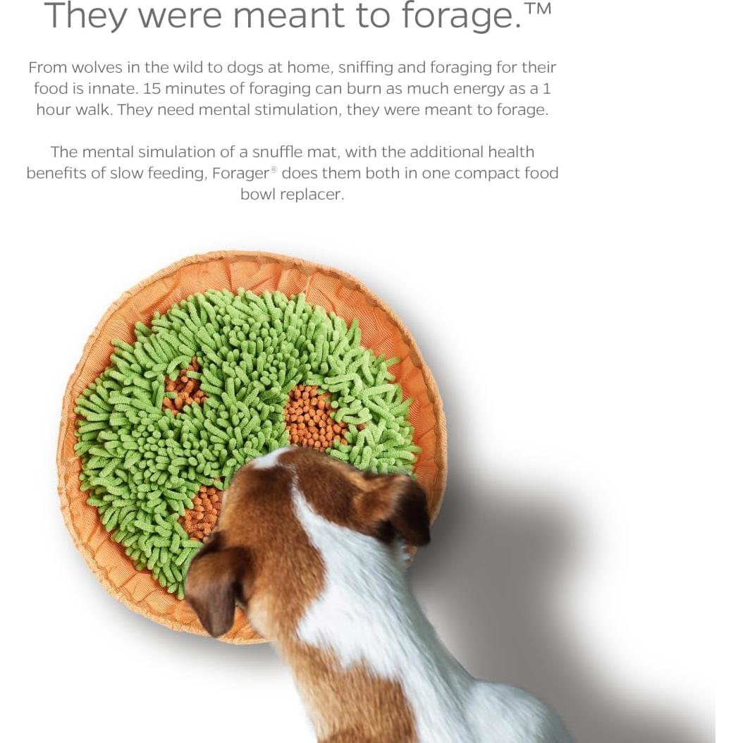 Cuenco Pet Parents Forager Lento Antideslizante 22,86 cm