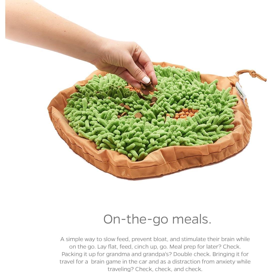 Cuenco Pet Parents Forager Lento Antideslizante 22,86 cm