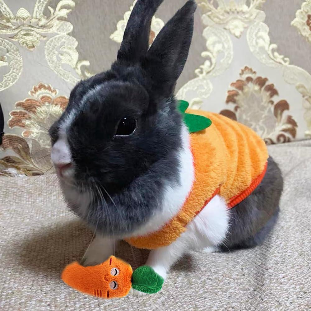 Conjunto Suéter para Perro ANIAC XS + Juguete Zanahoria