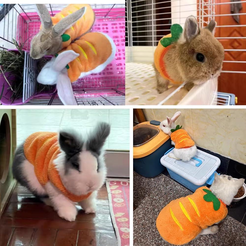 Conjunto Suéter para Perro ANIAC XS + Juguete Zanahoria