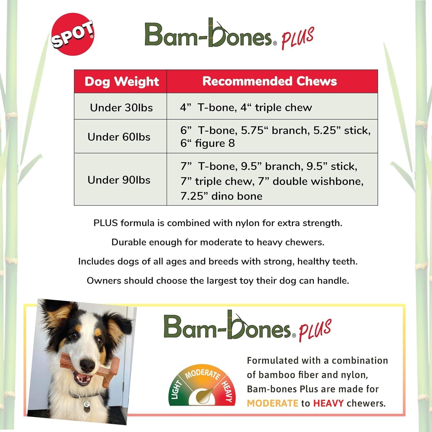 Juguete para Perros SPOT Bam-Bones Plus T Bone - Grande