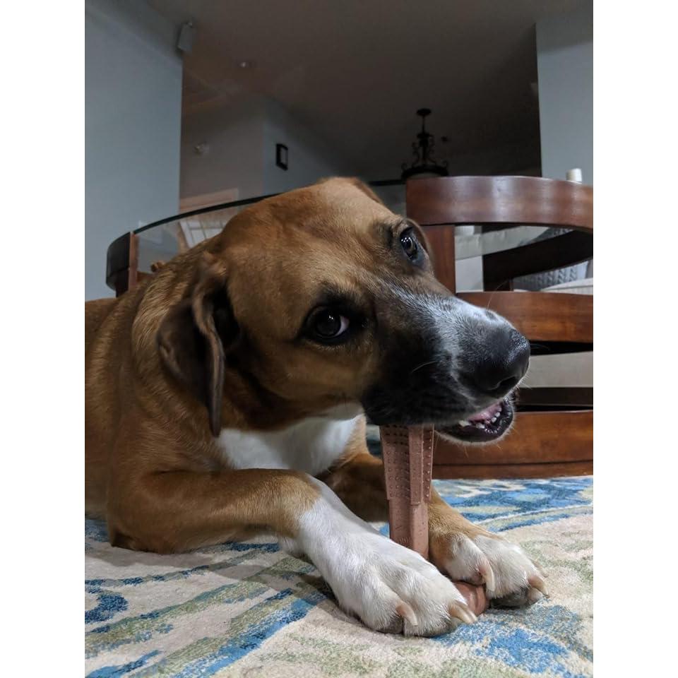 Juguete para Perros SPOT Bam-Bones Plus T Bone - Grande