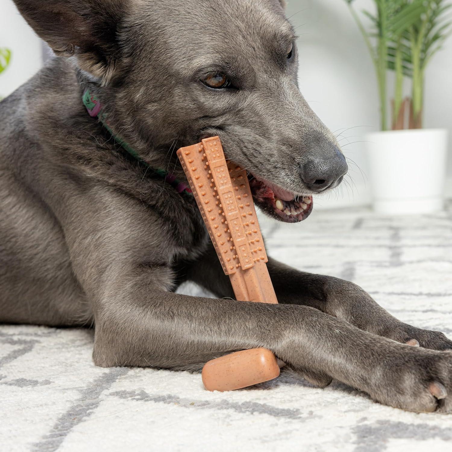 Juguete para Perros SPOT Bam-Bones Plus T Bone - Grande