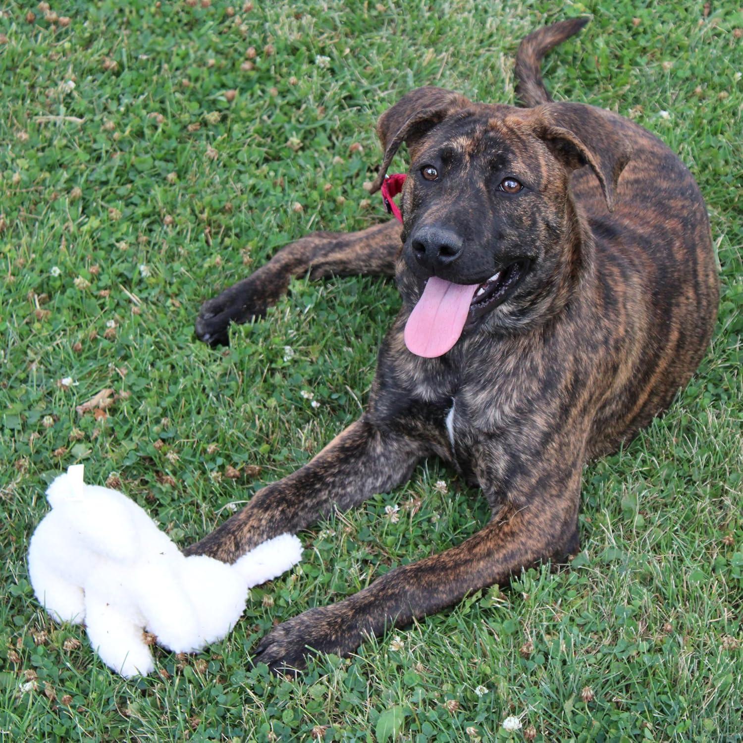 Juguete de Perro Conejo SPOT 15 cm Suave y Seguro