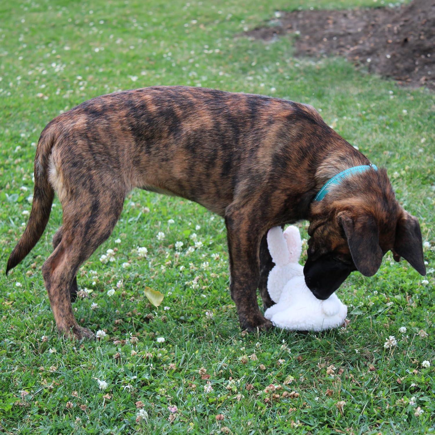 Juguete de Perro Conejo SPOT 15 cm Suave y Seguro