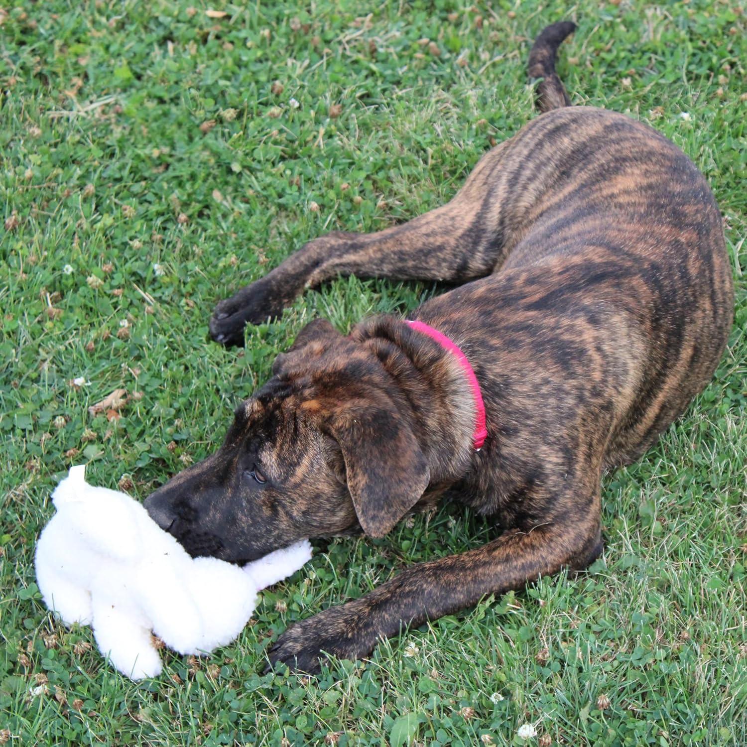 Juguete de Perro Conejo SPOT 15 cm Suave y Seguro