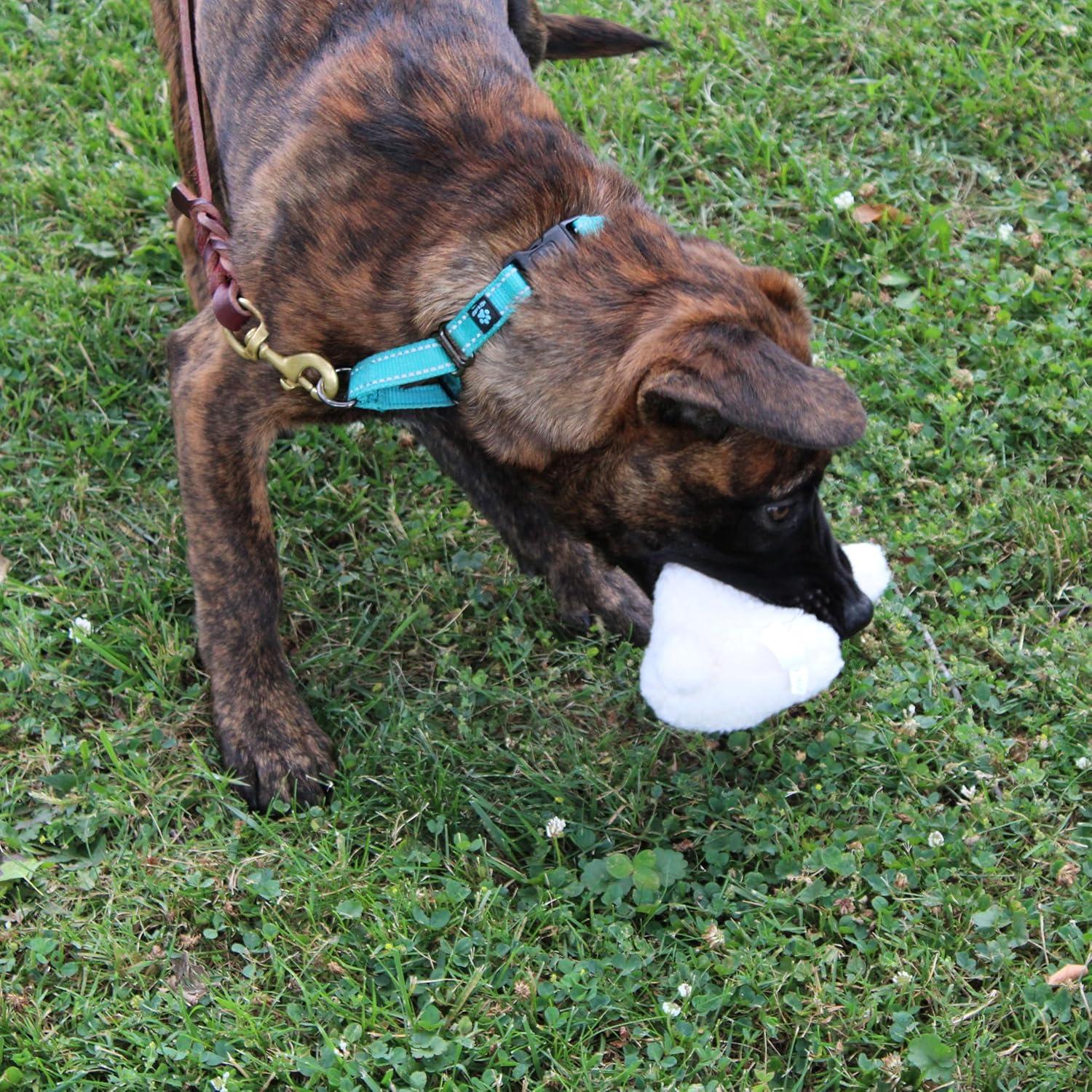 Juguete de Perro Conejo SPOT 15 cm Suave y Seguro