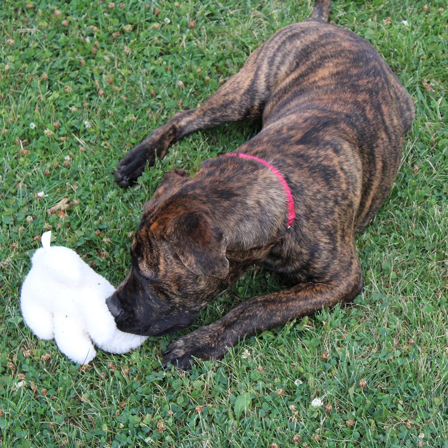 Juguete de Perro Conejo SPOT 15 cm Suave y Seguro