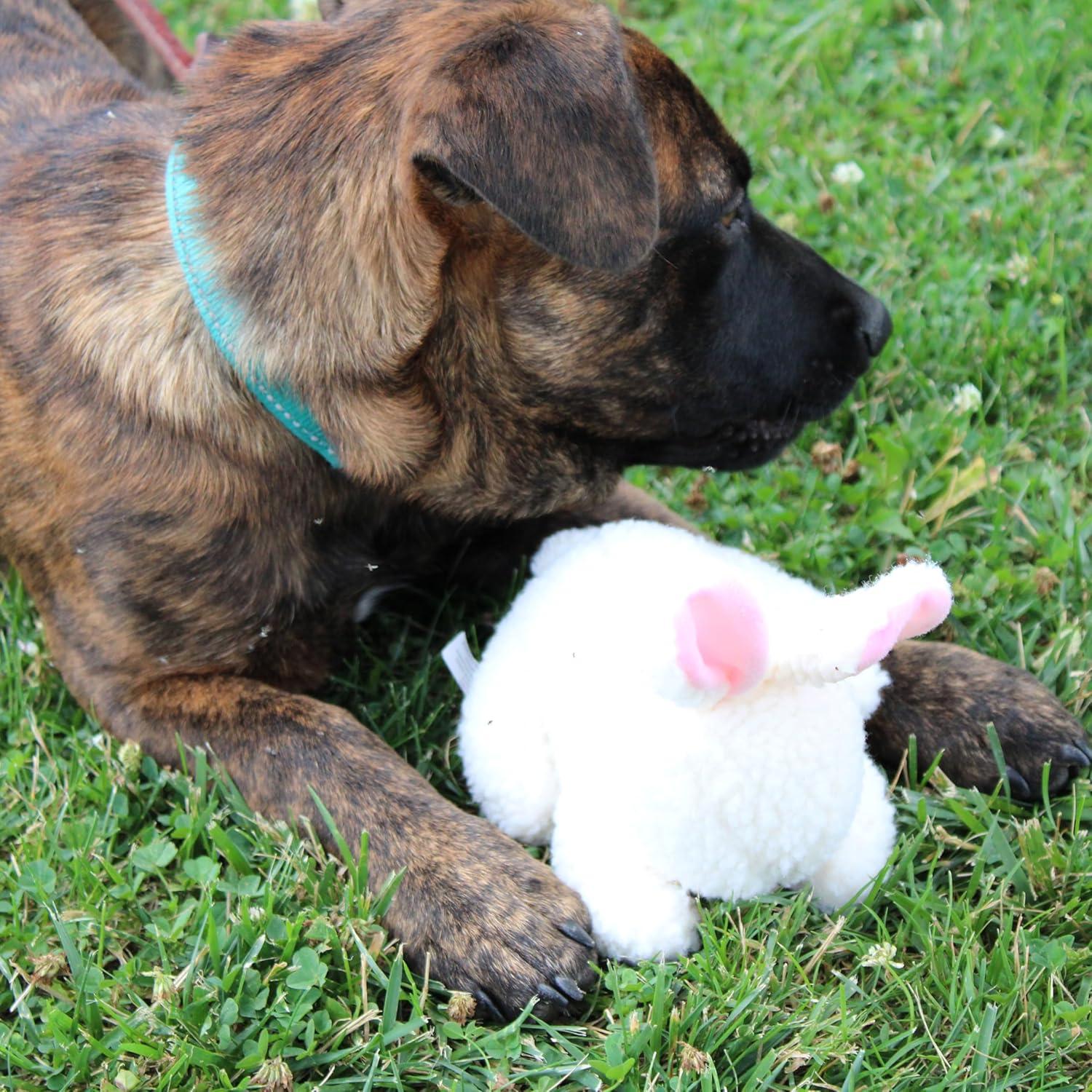 Juguete de Perro Conejo SPOT 15 cm Suave y Seguro