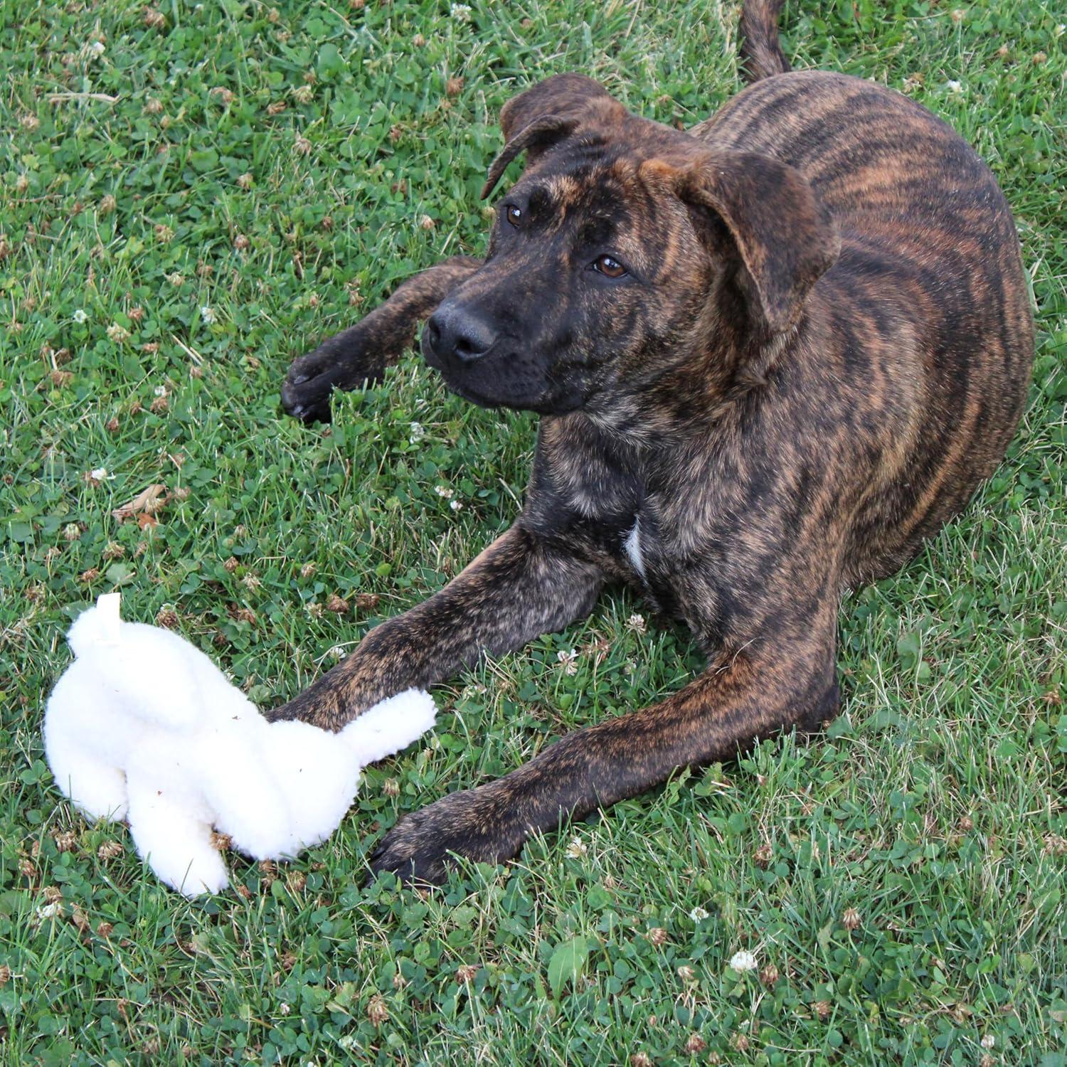 Juguete de Perro Conejo SPOT 15 cm Suave y Seguro