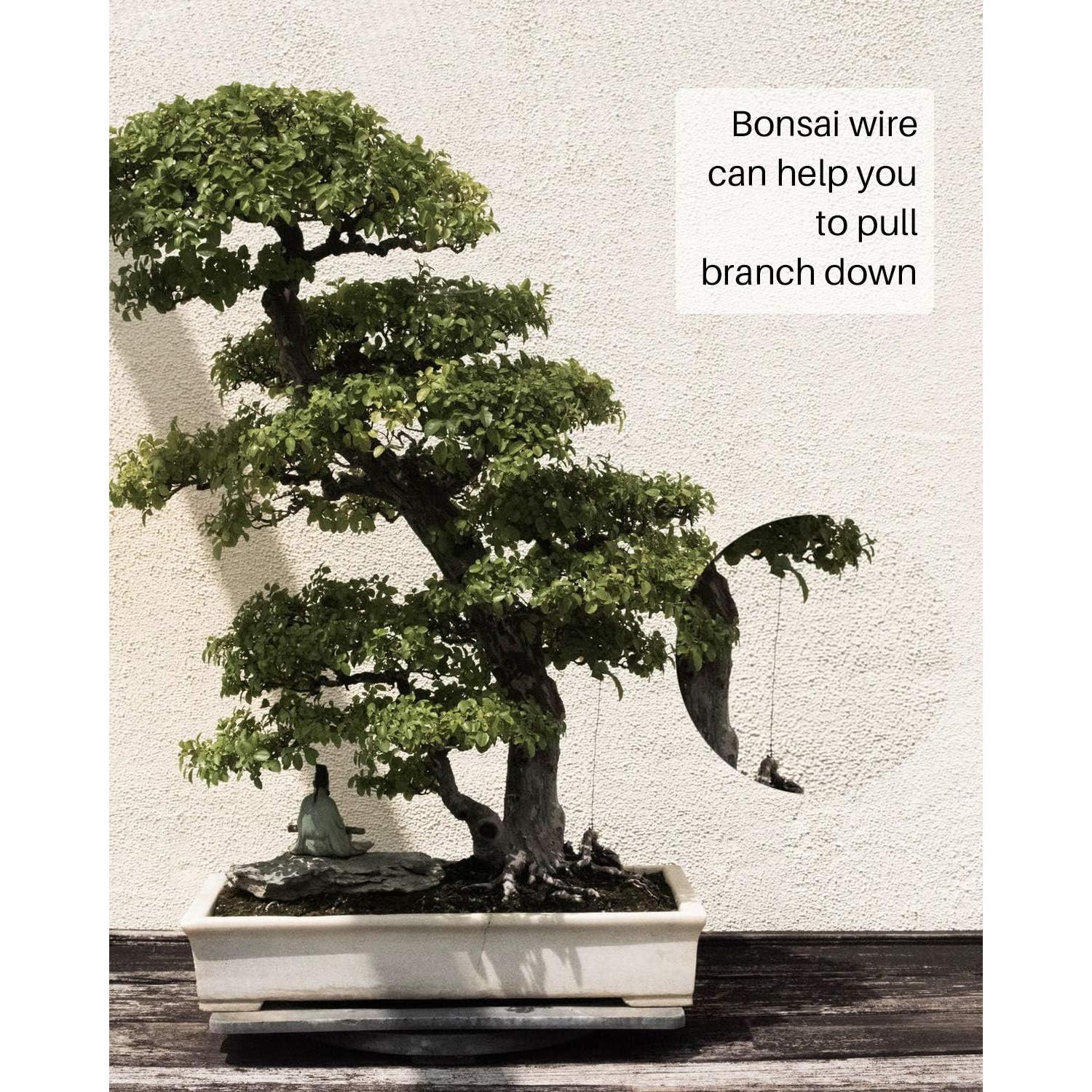 Kit de Alambre y Herramientas de Bonsai MoHern 164 Pies