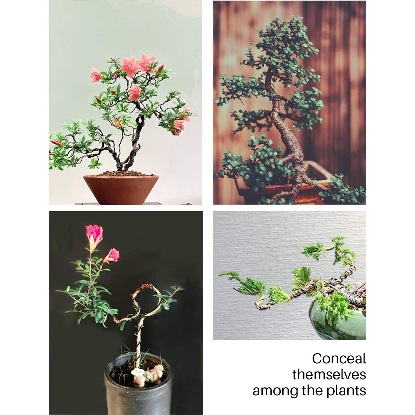 Kit de Alambre y Herramientas de Bonsai MoHern 164 Pies