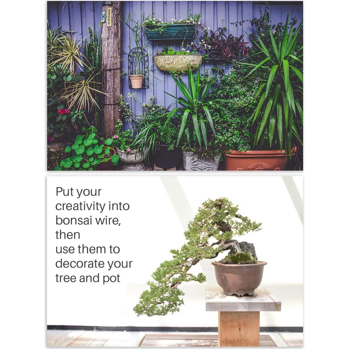 Kit de Alambre y Herramientas de Bonsai MoHern 164 Pies