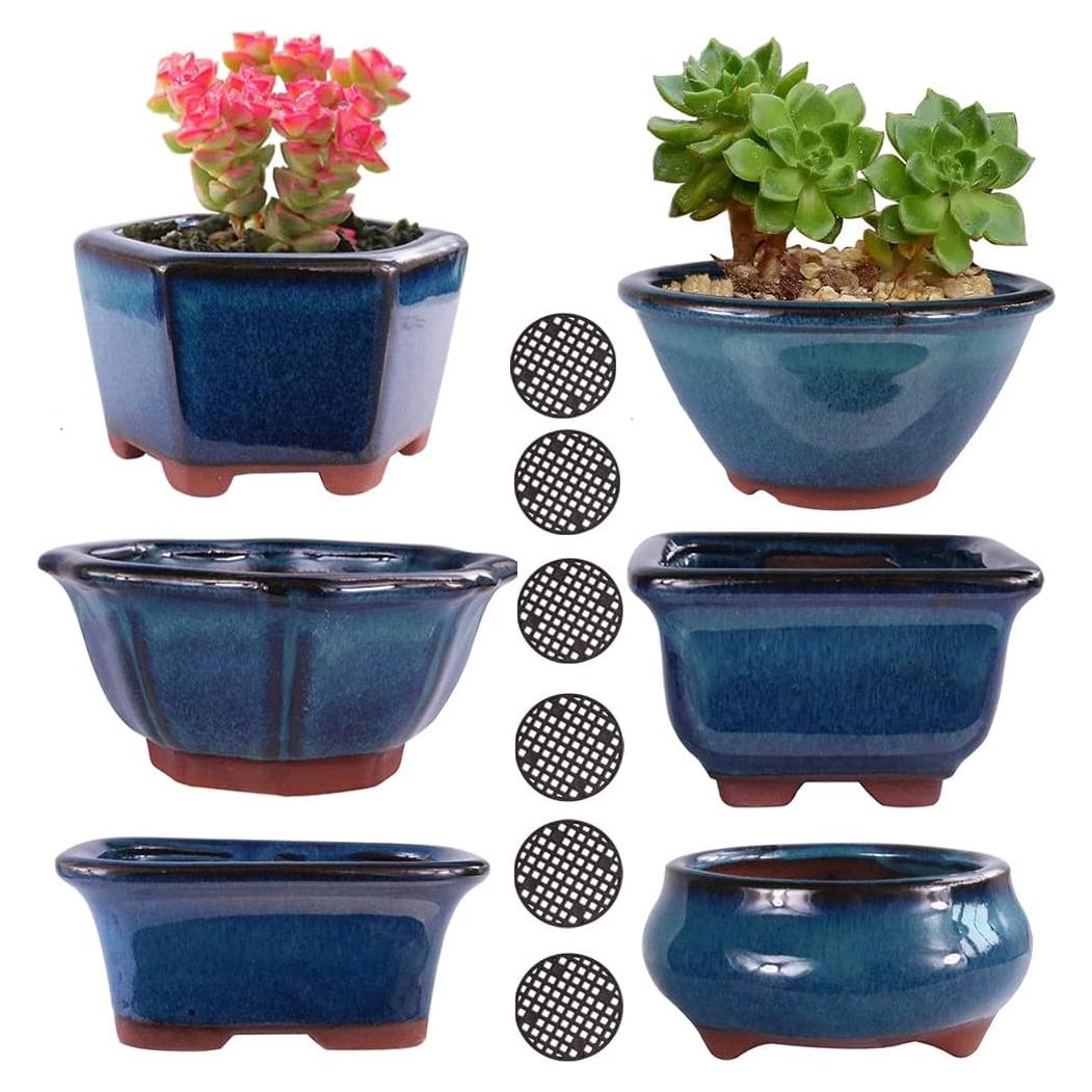 Macetas Bonsai MUZHI 6 Pack Esmaltadas 10 cm Azul